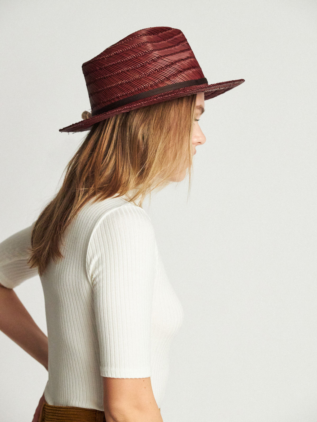 Brixton Crosby II Fedora Hat (brown/brown)