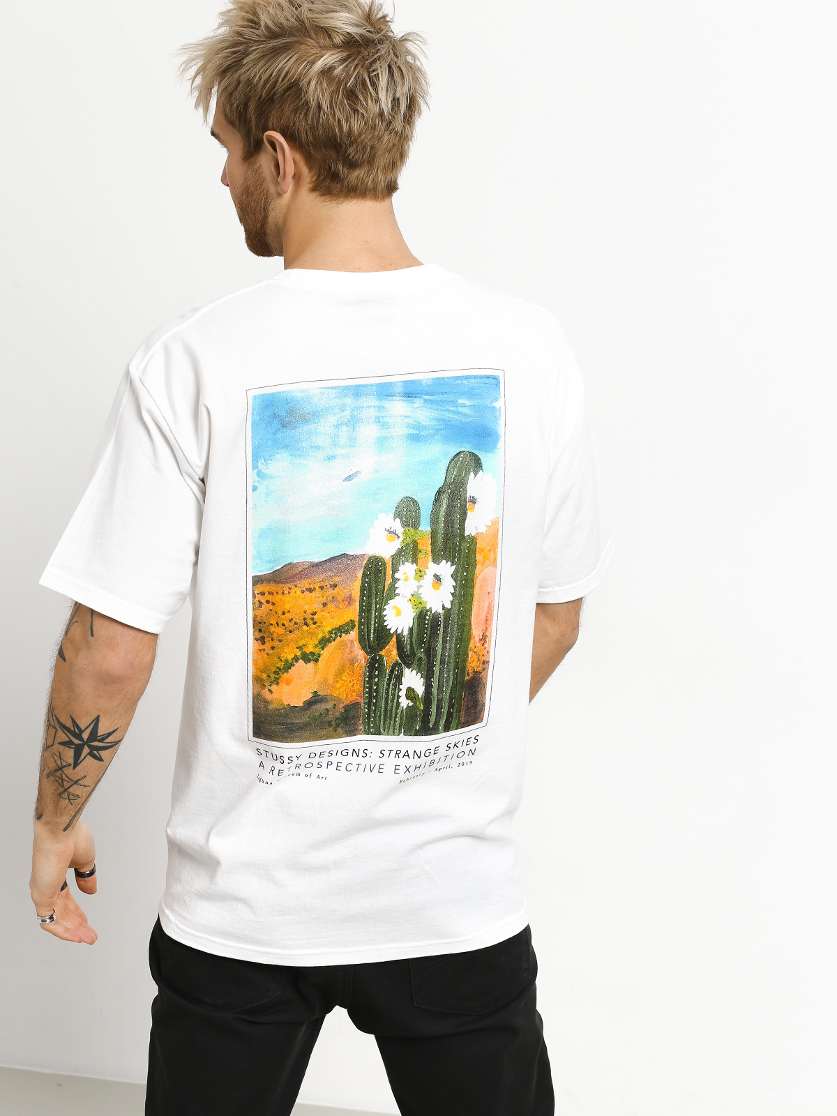 desert cactus Cactus Flowers of the Desert Seeds from Mr Fothergill's Seeds and Plants