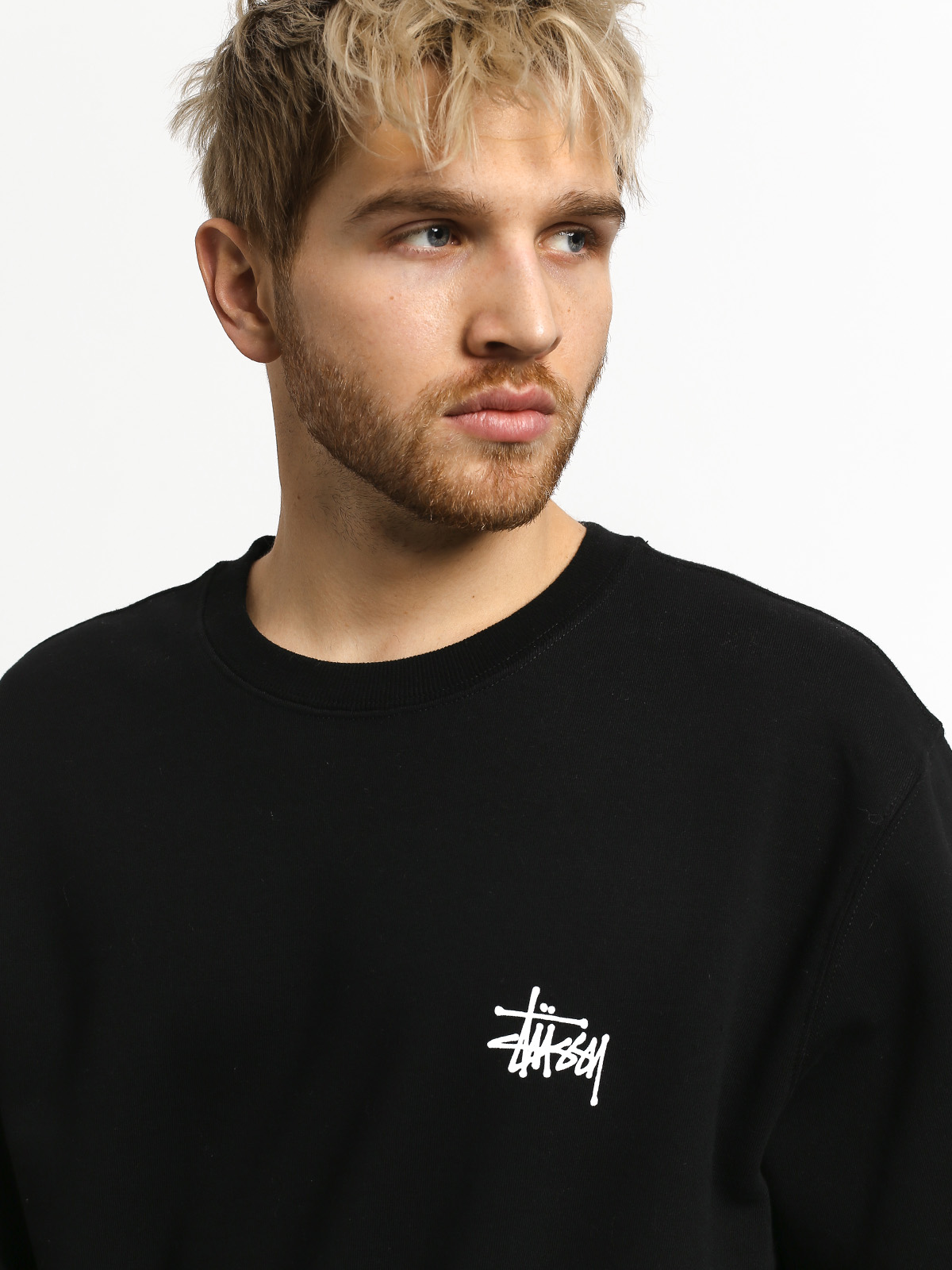 Stussy Basic Crew Sweatshirt (black)