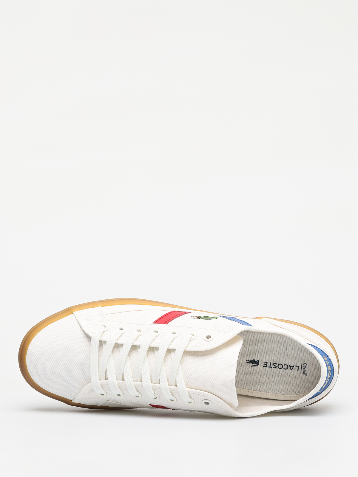 Lacoste sideline tricolore best sale