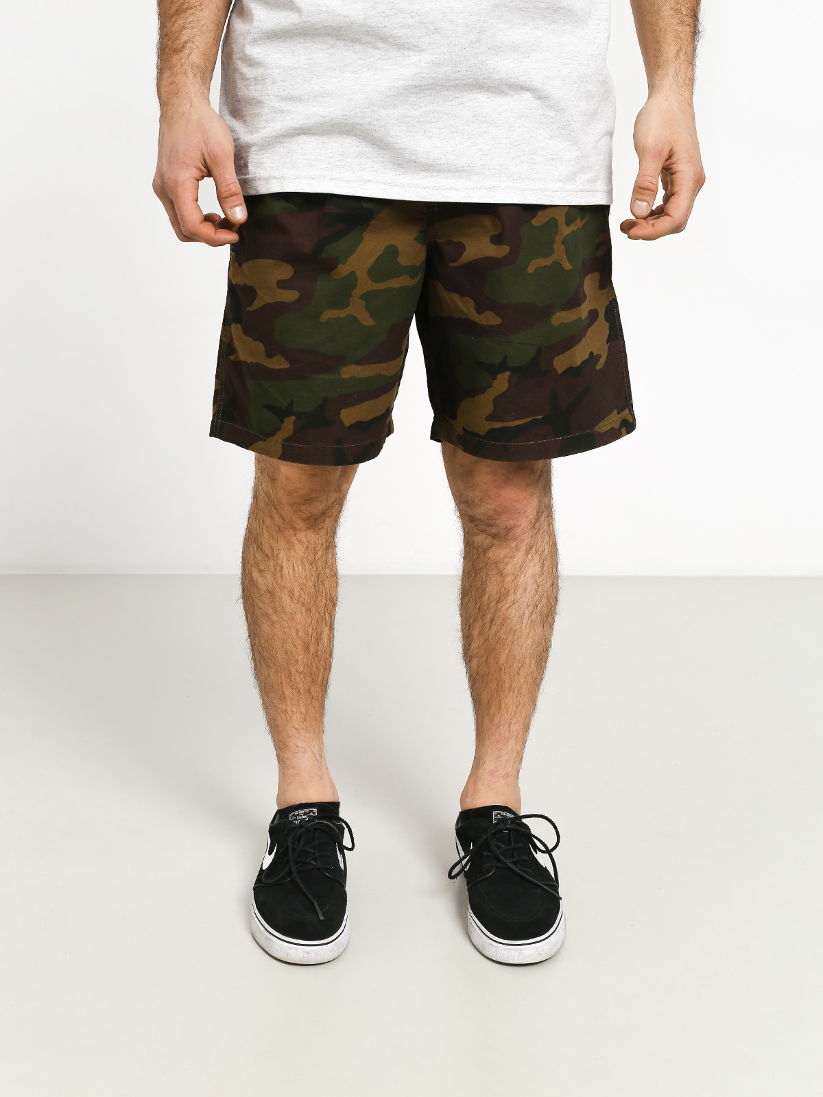 Vans Range Shorts (camo)