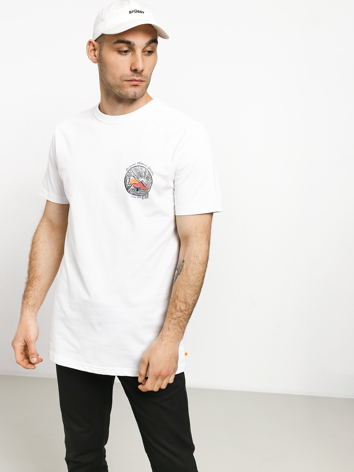 Quiksilver Waterman Whale Sunset T-shirt (white)