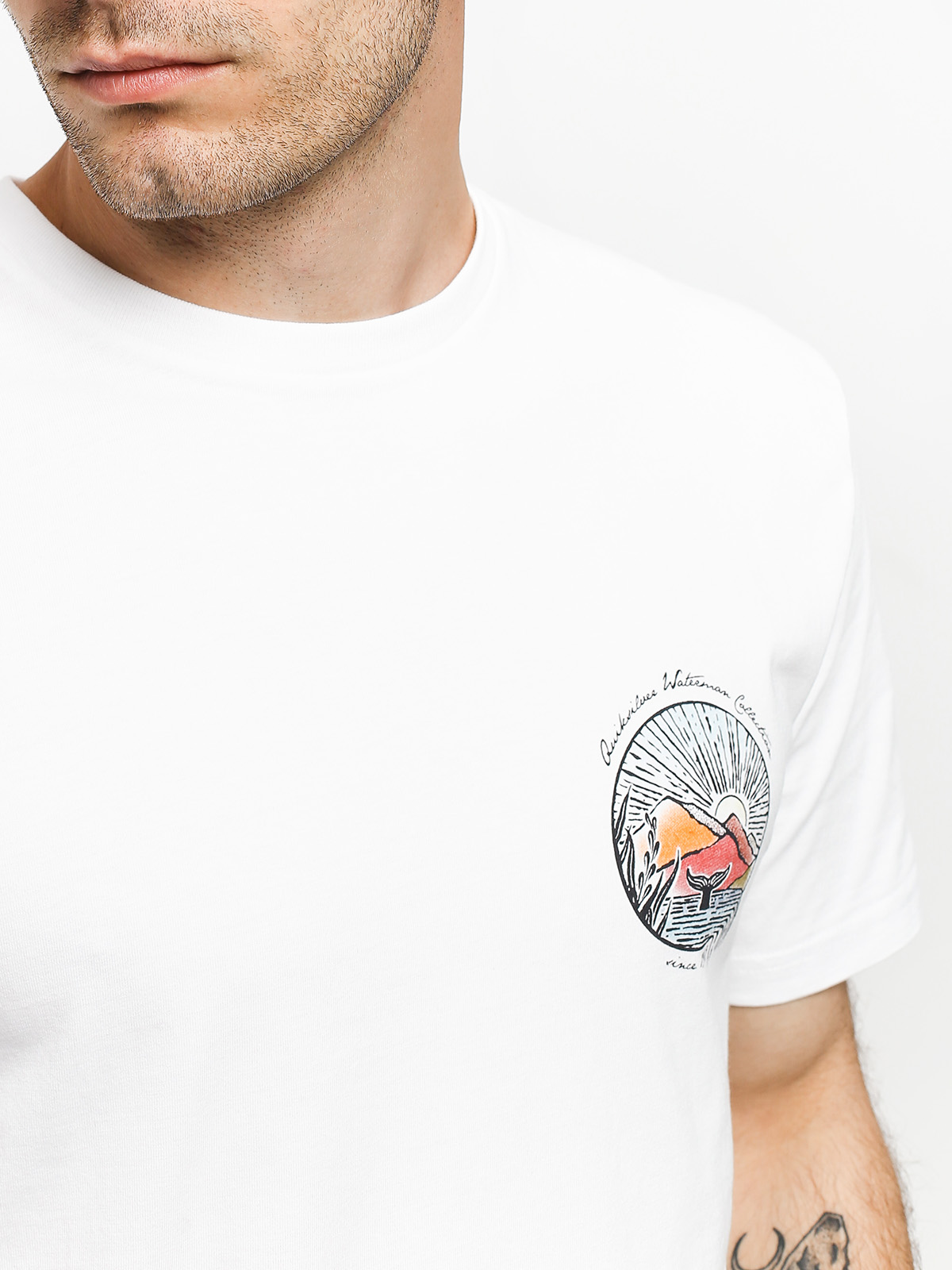 Quiksilver Waterman Whale Sunset T-shirt (white)