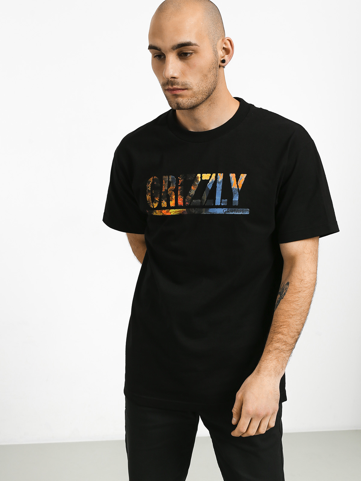 Grizzly Griptape Stamped Scenic T-shirt (black)