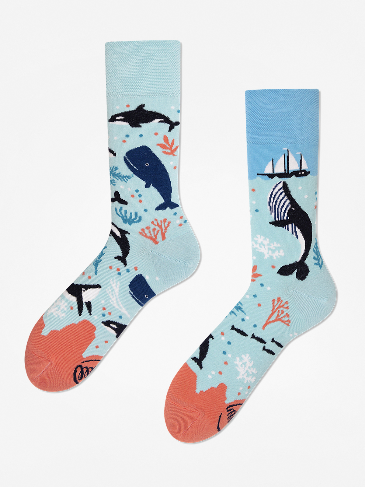 Many Mornings Ocean Life Socks (light blue)