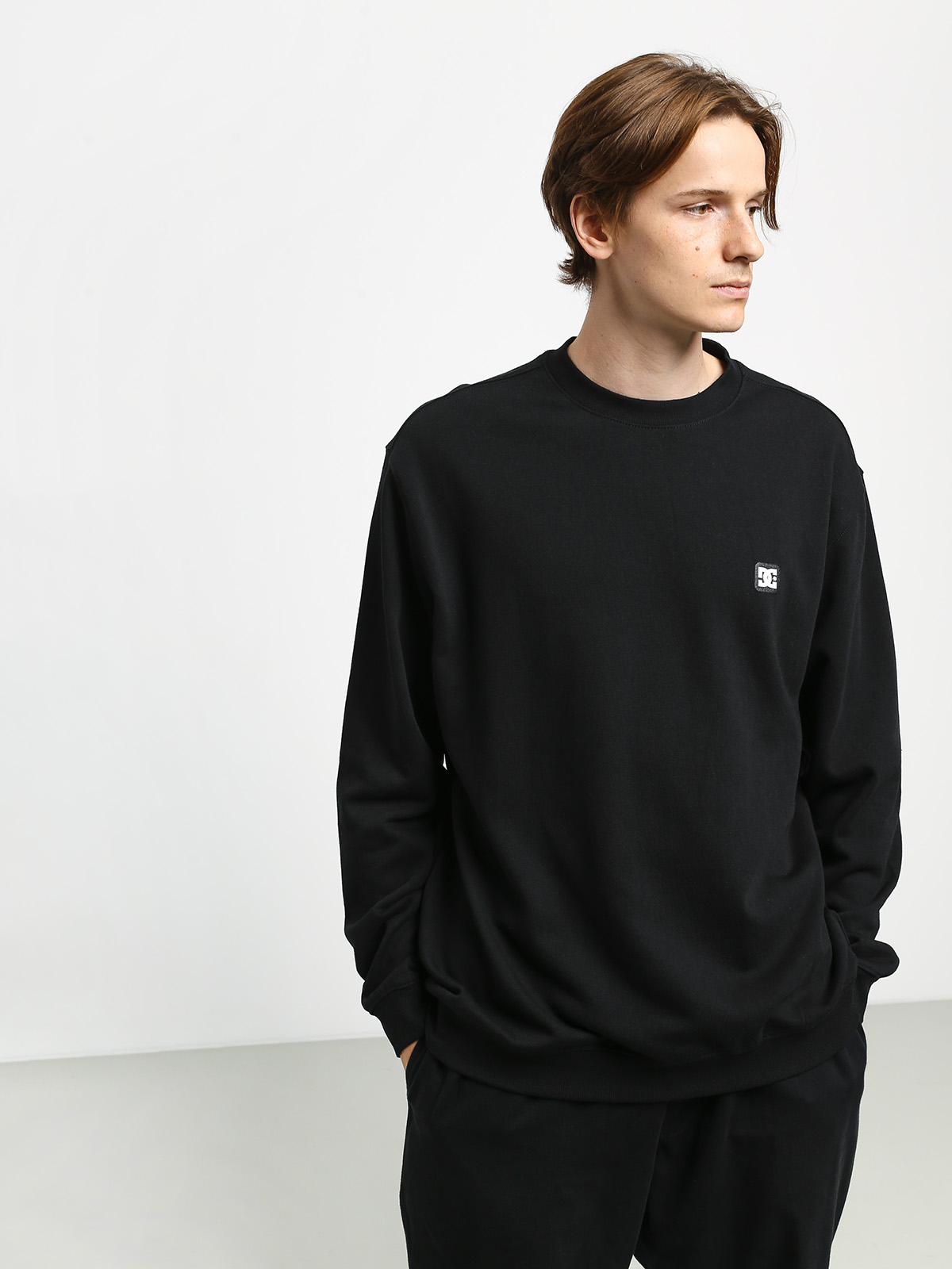 DC Rebel Crew 3 Sweatshirt (black)