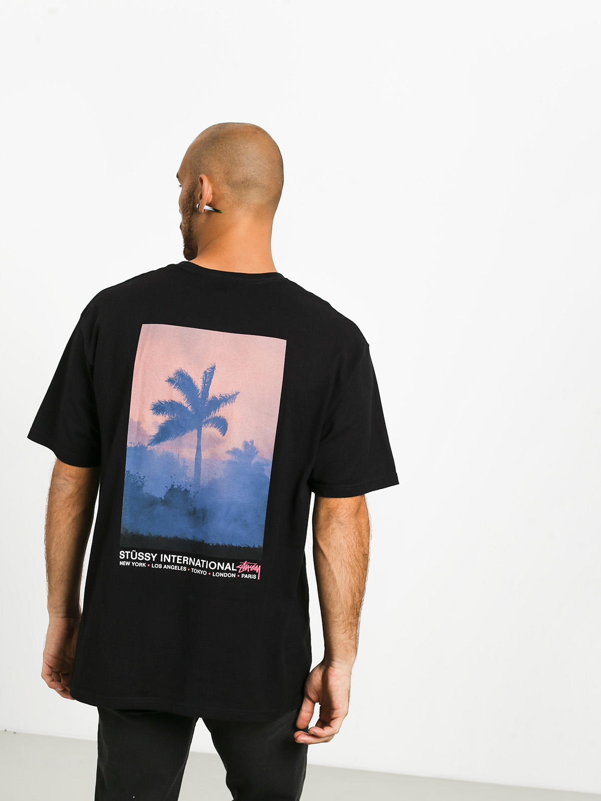 Stussy Fire Palm T-shirt (black)