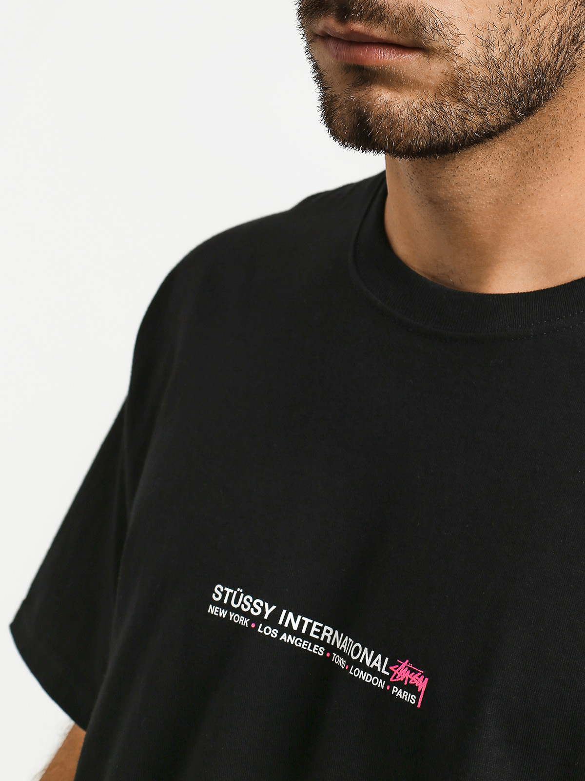 Stussy Fire Palm T-shirt (black)