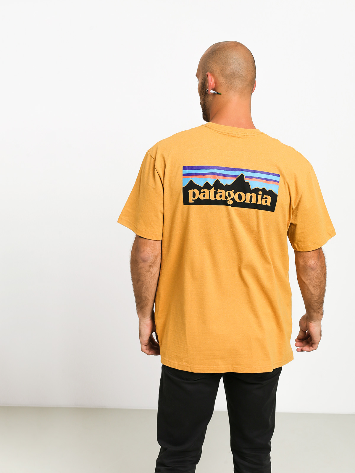 patagonia logo responsibili tee