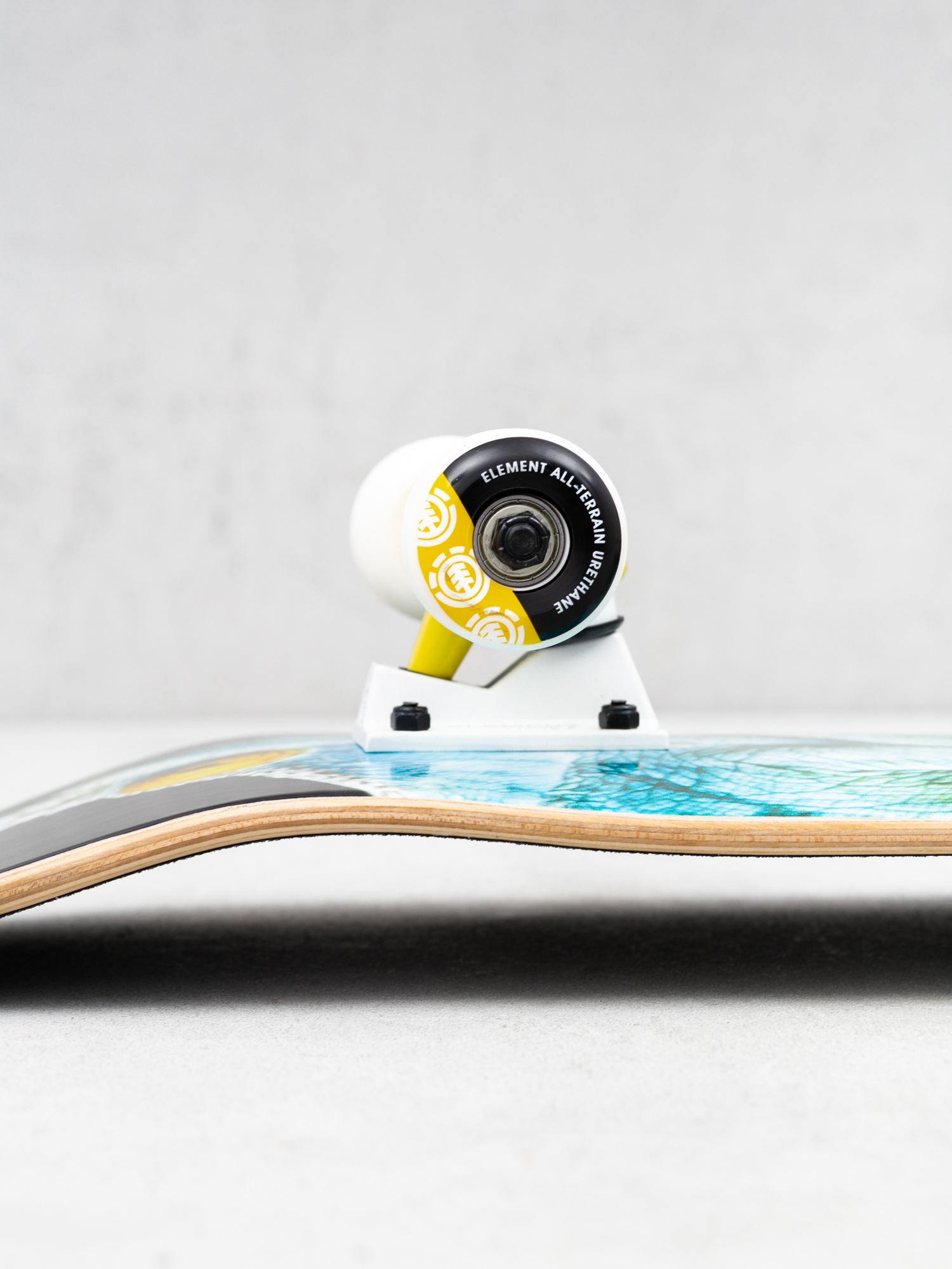 Element Nat Geo Iguana Skateboard (assorted)