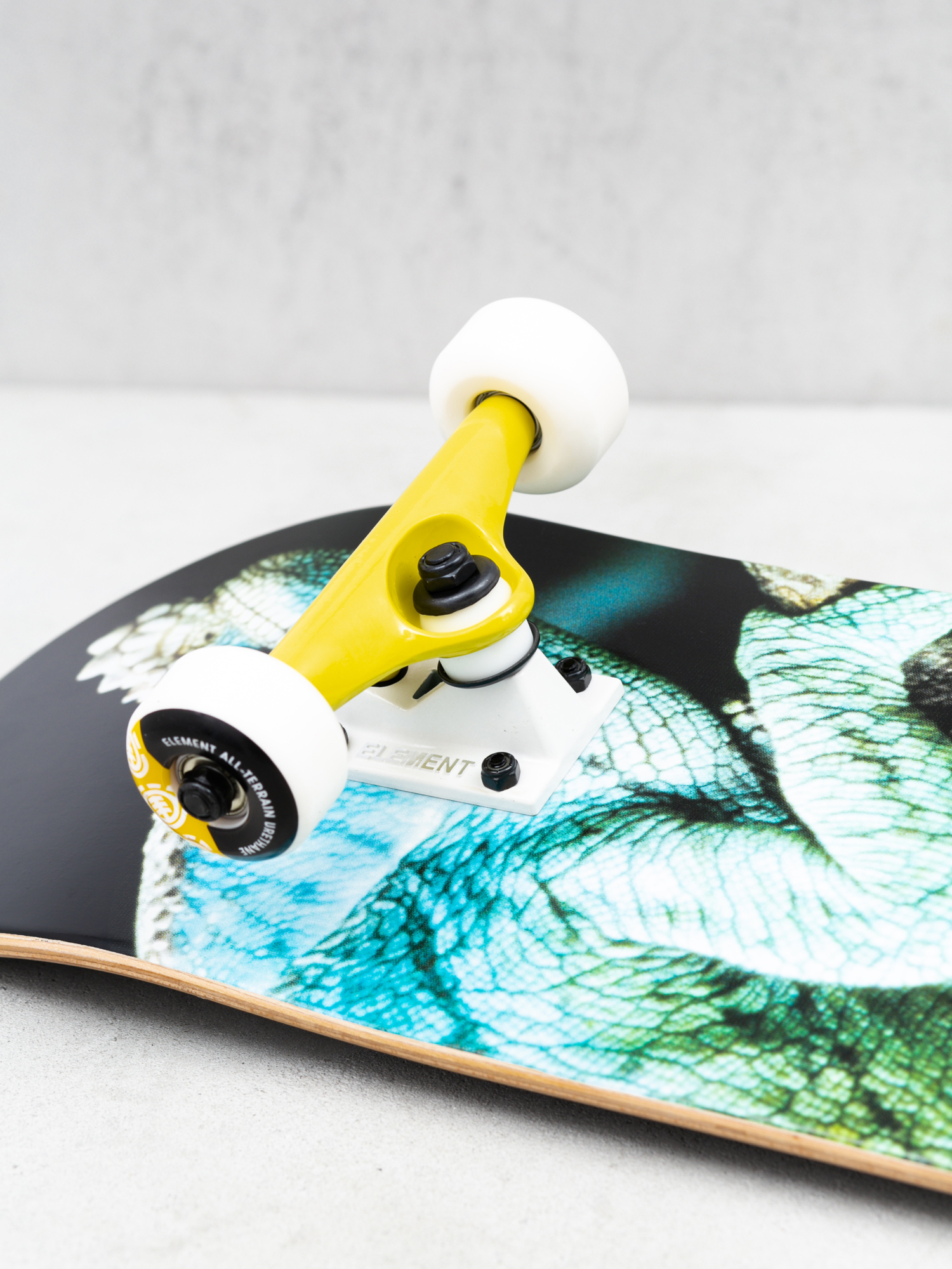 Element Nat Geo Iguana Skateboard (assorted)