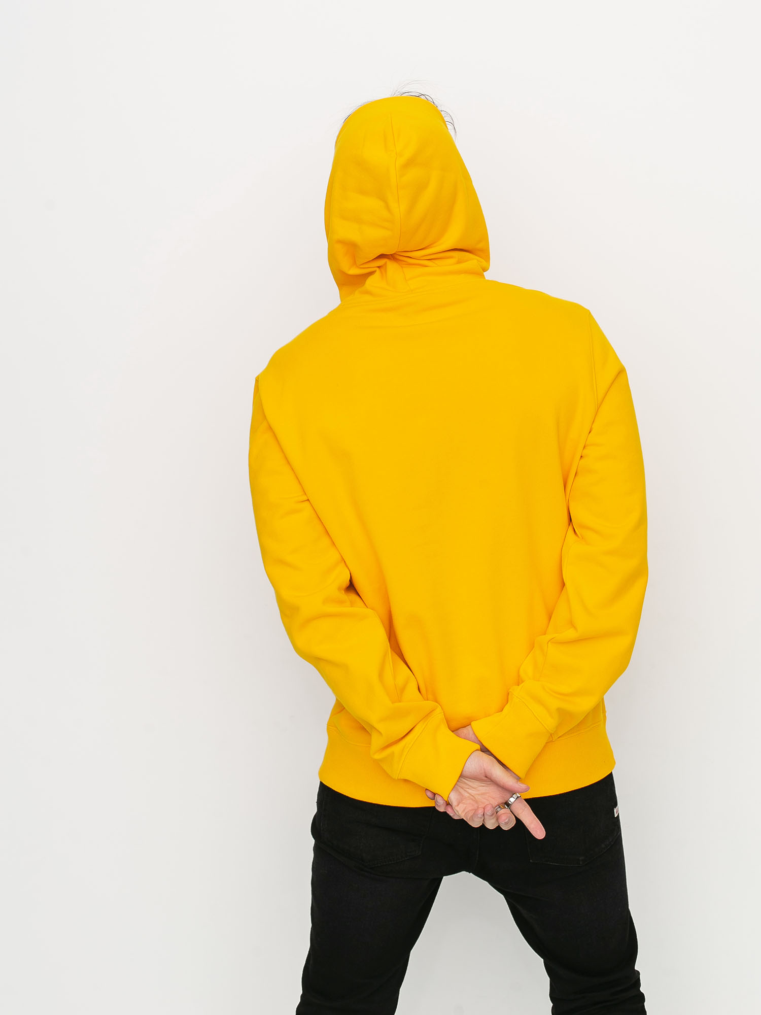 Champion Sweatshirt HD 214184 Hoodie (ctr)