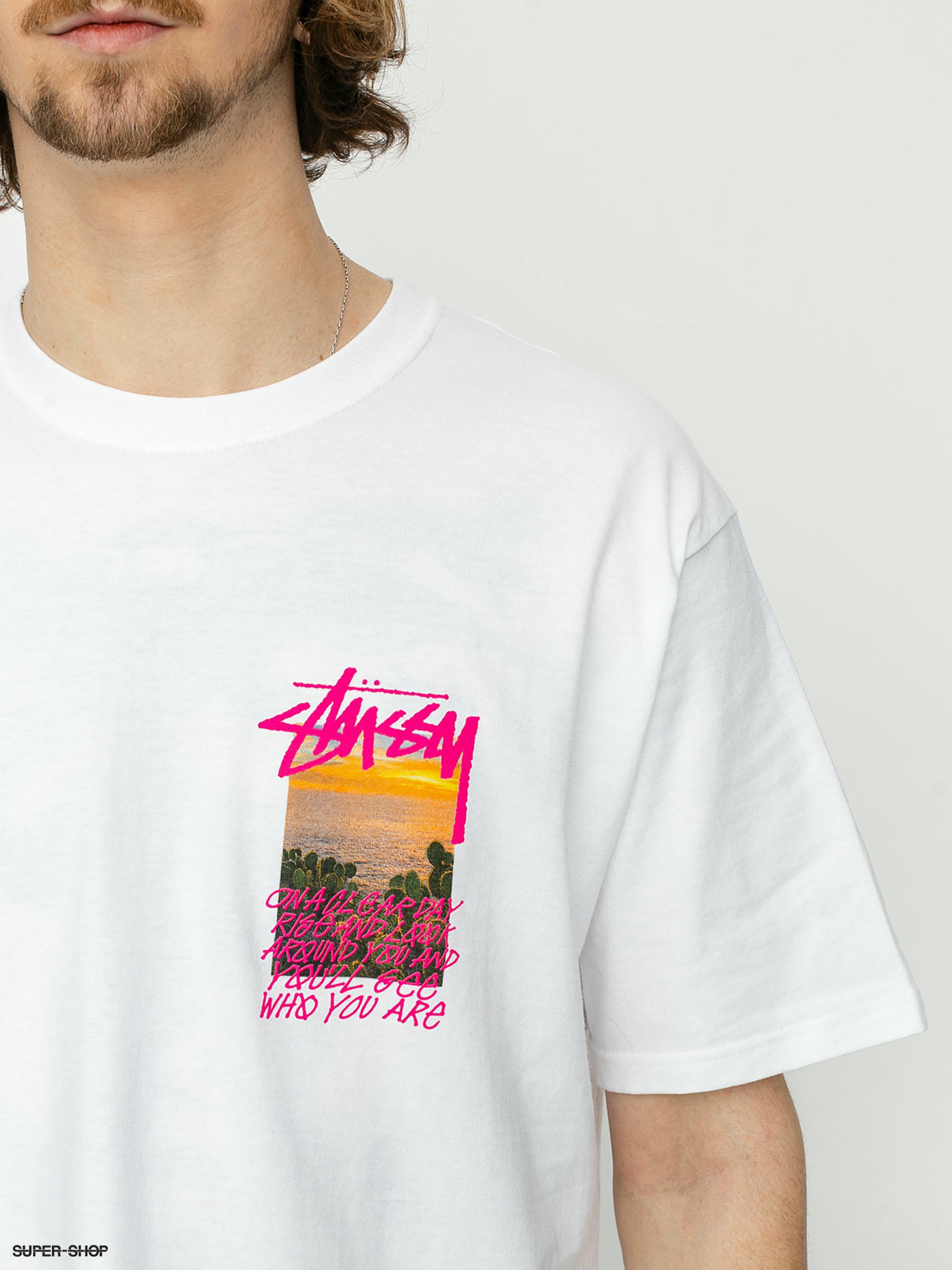 Stussy Clear Day T-shirt (white)