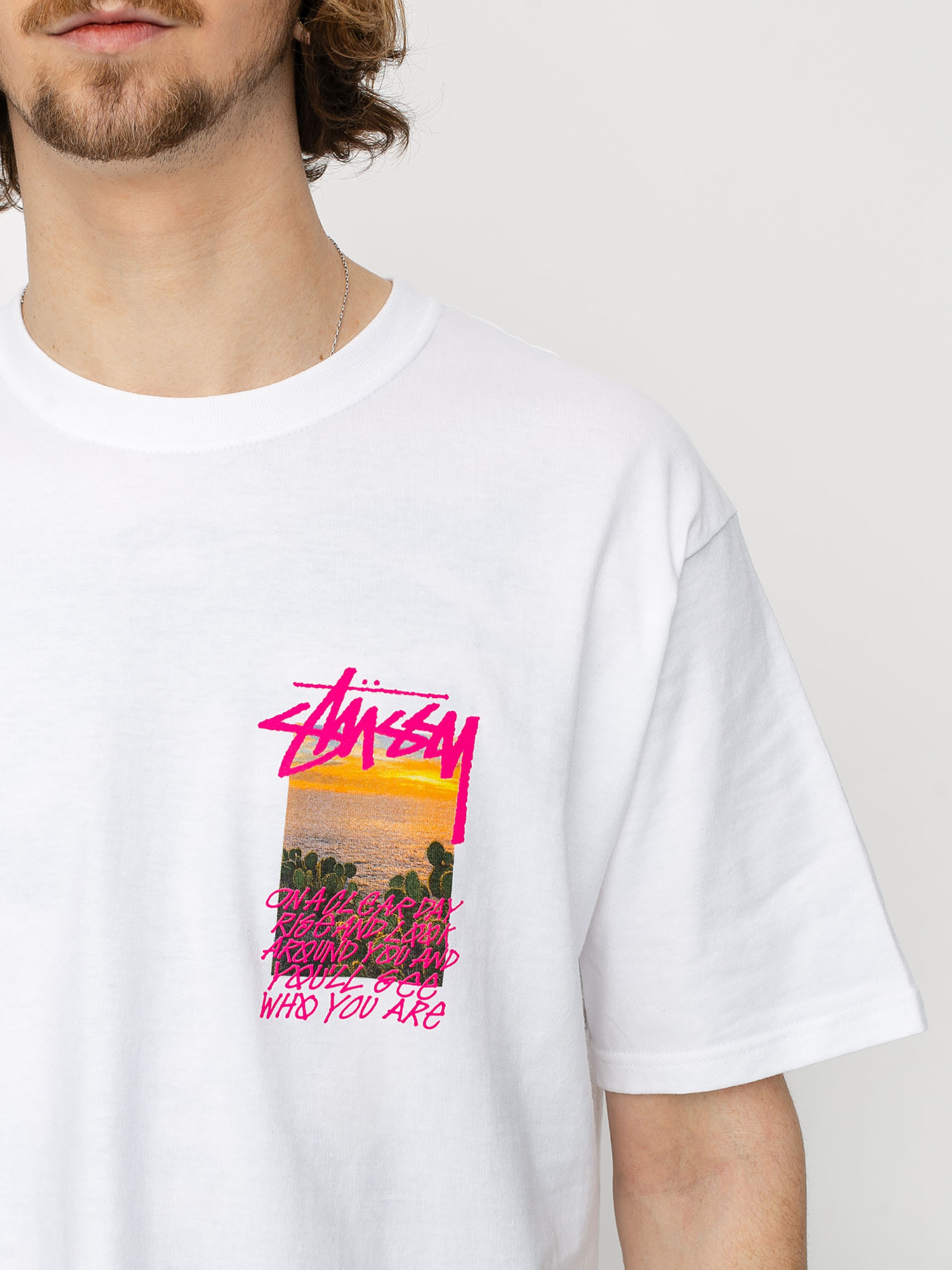 Stussy Clear Day T-shirt (white)