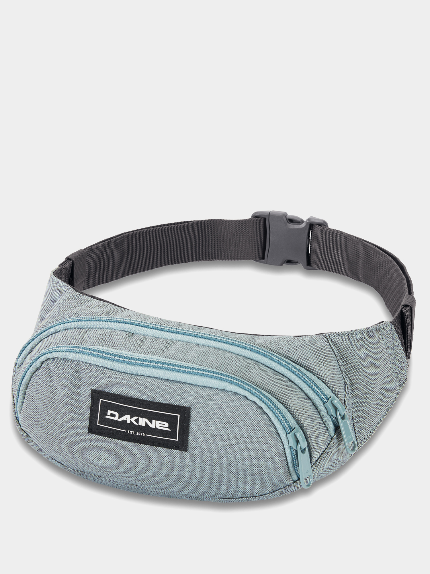 dakine hip pack