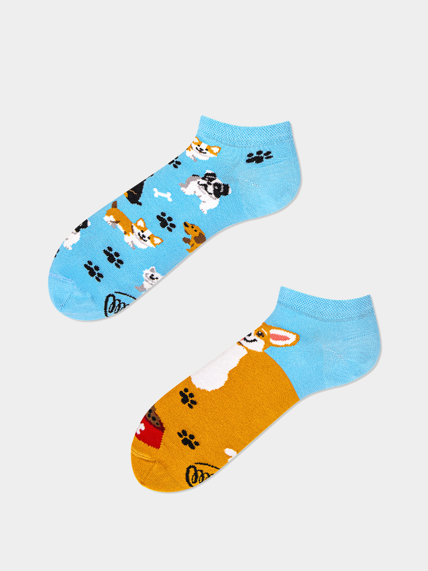 Many Mornings Playful Dog Low Socks (light blue/mustard)