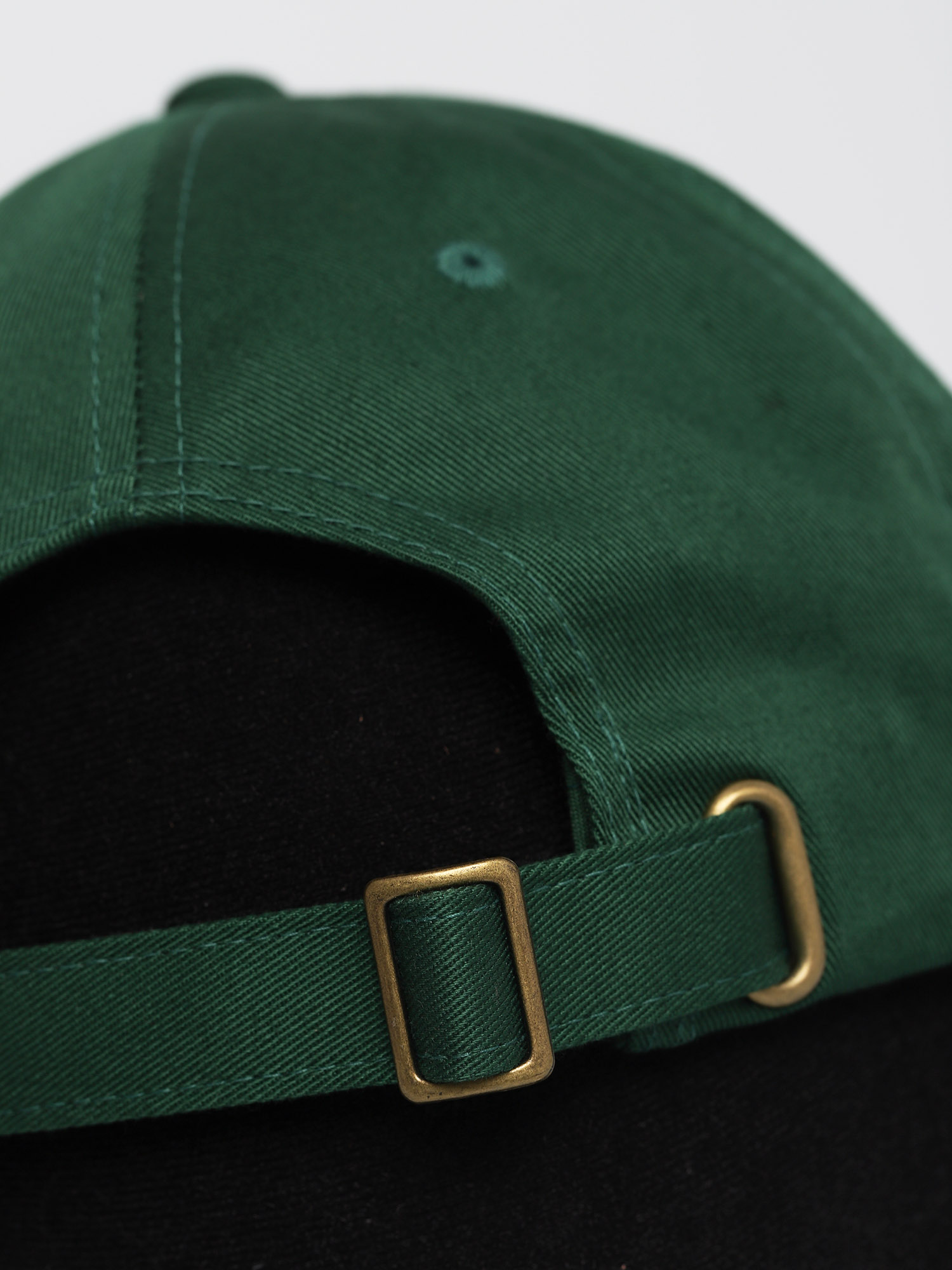 Stussy Stock Low Pro ZD Cap (green)