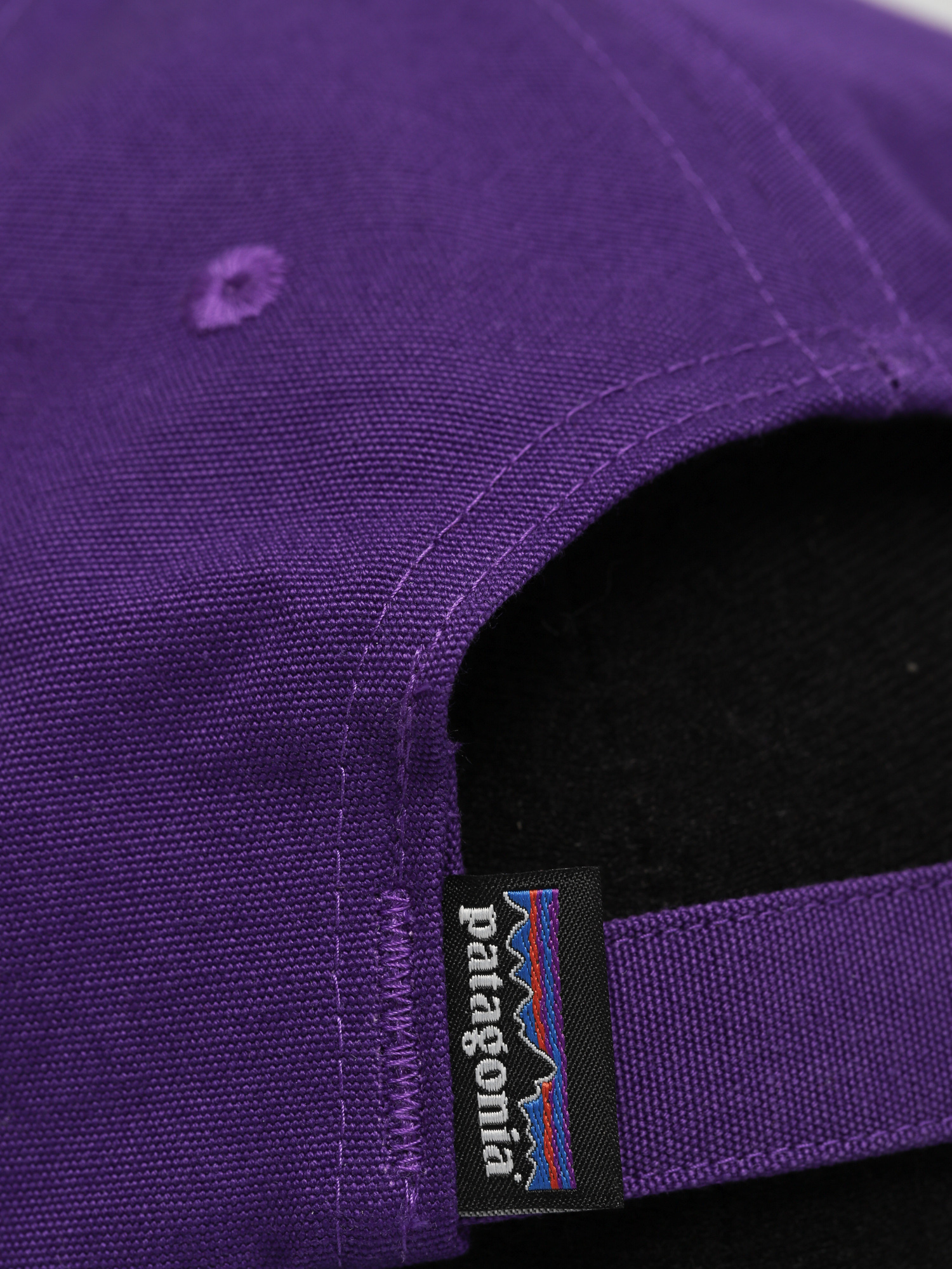 Patagonia Together For The Planet Label Trad ZD Cap (purple)