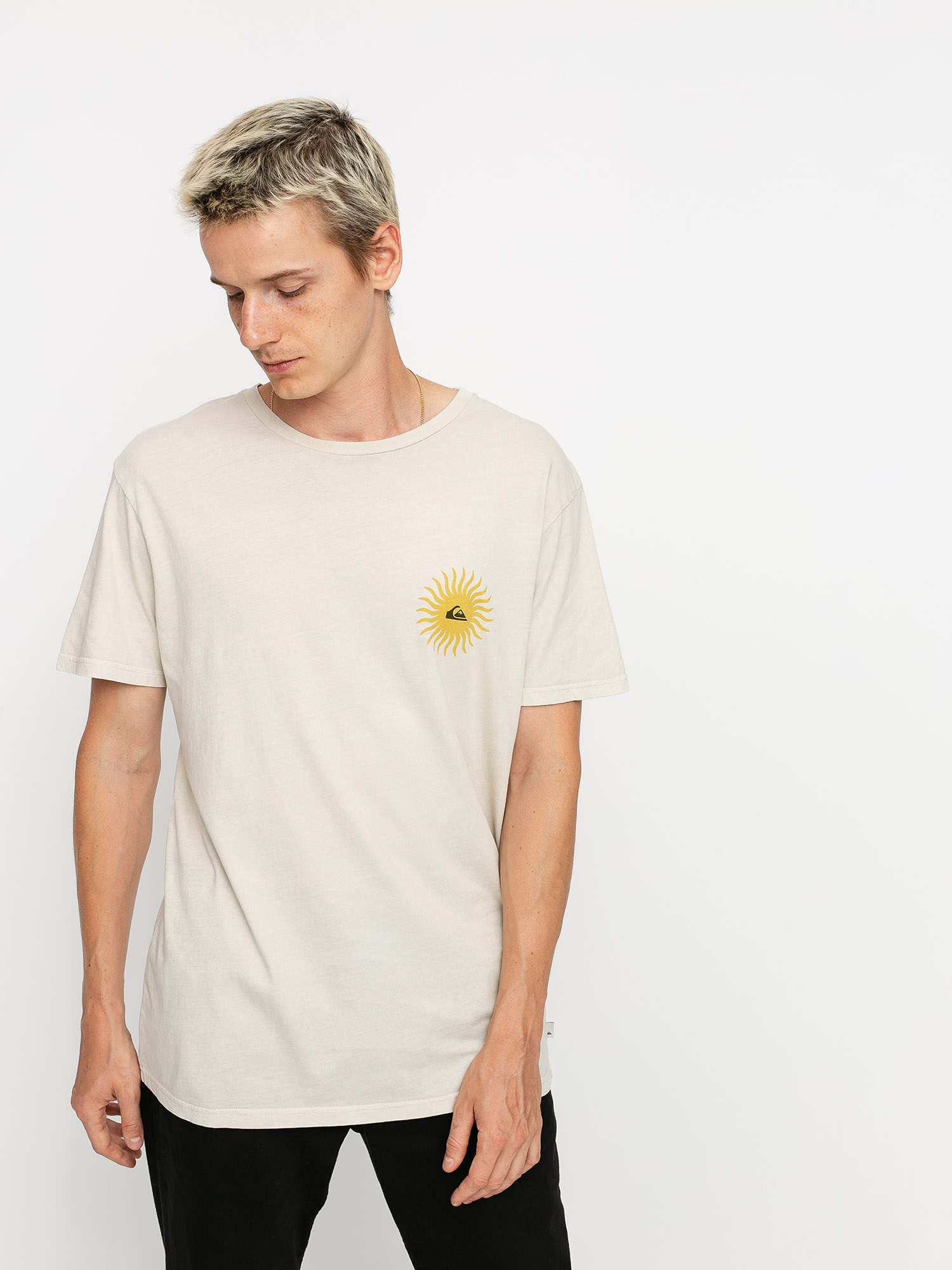 Quiksilver Earth Core T-shirt (parchment)