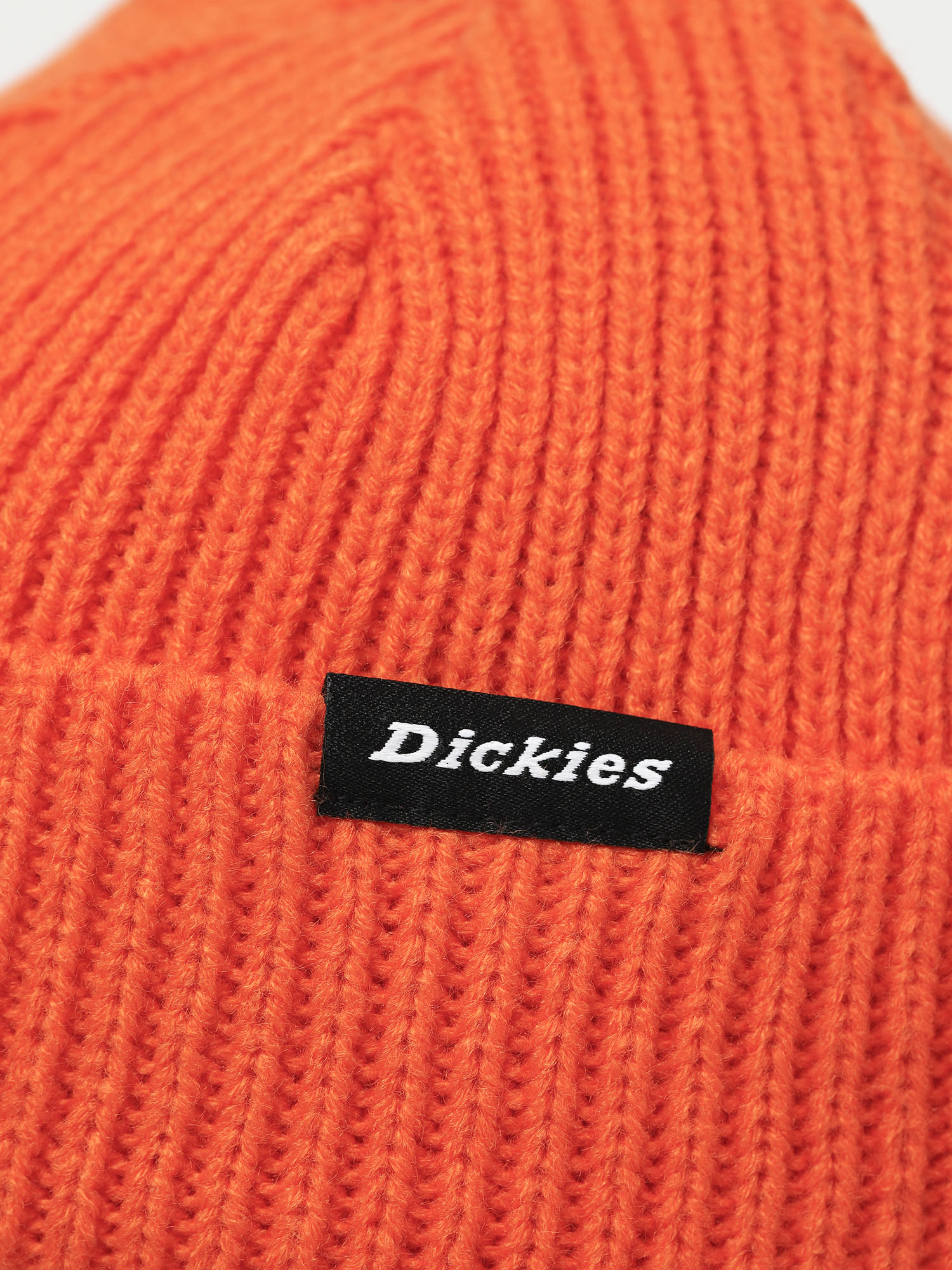 Dickies Woodworth Beanie (bright orange)