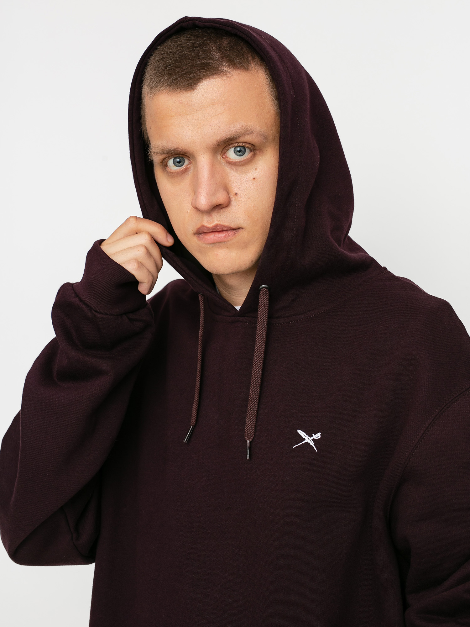 Iriedaily Mini Flag 2 HD Hoody (aubergine)