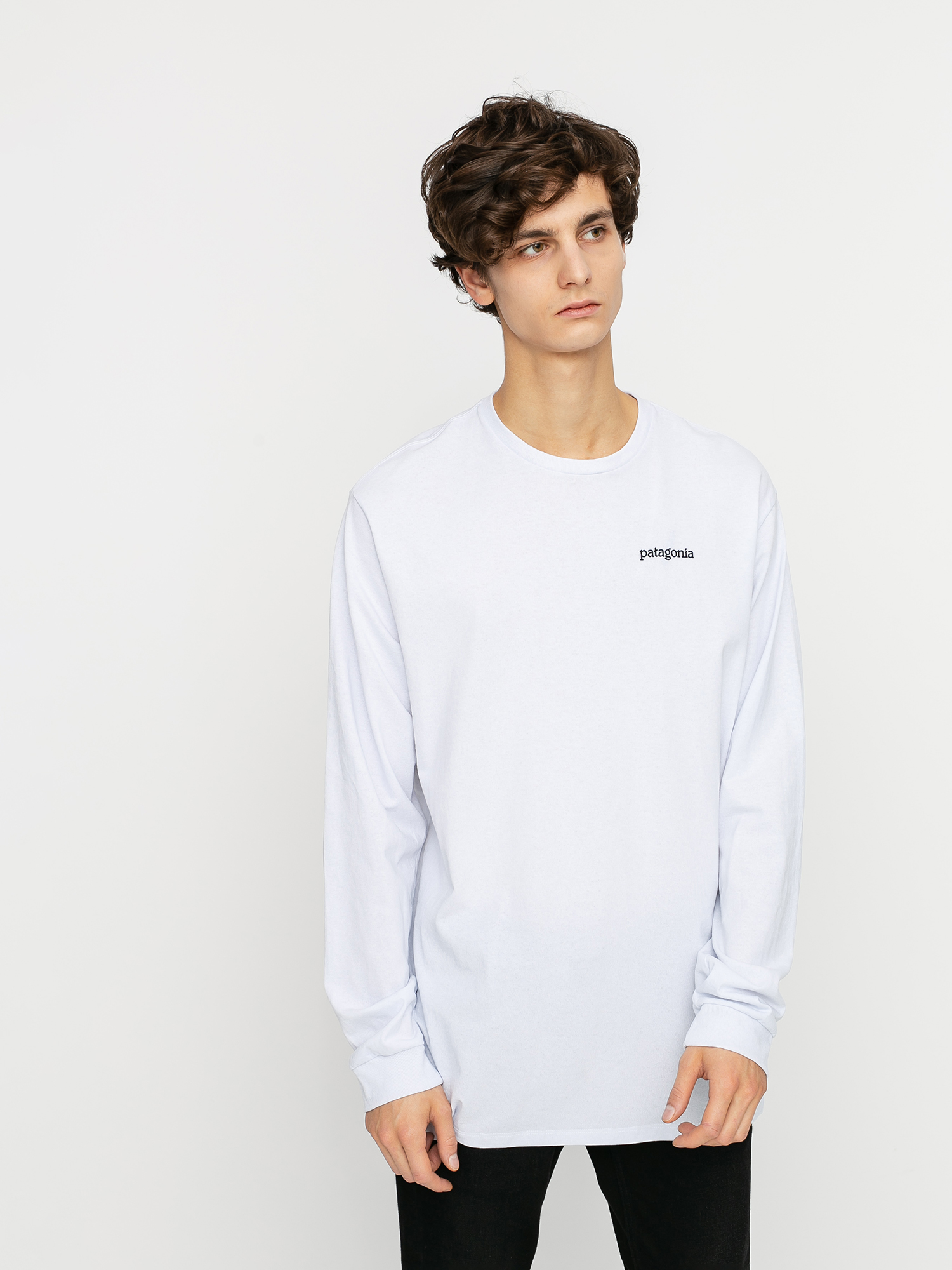 Patagonia Fitz Roy Horizons Responsibili Longsleeve (white)