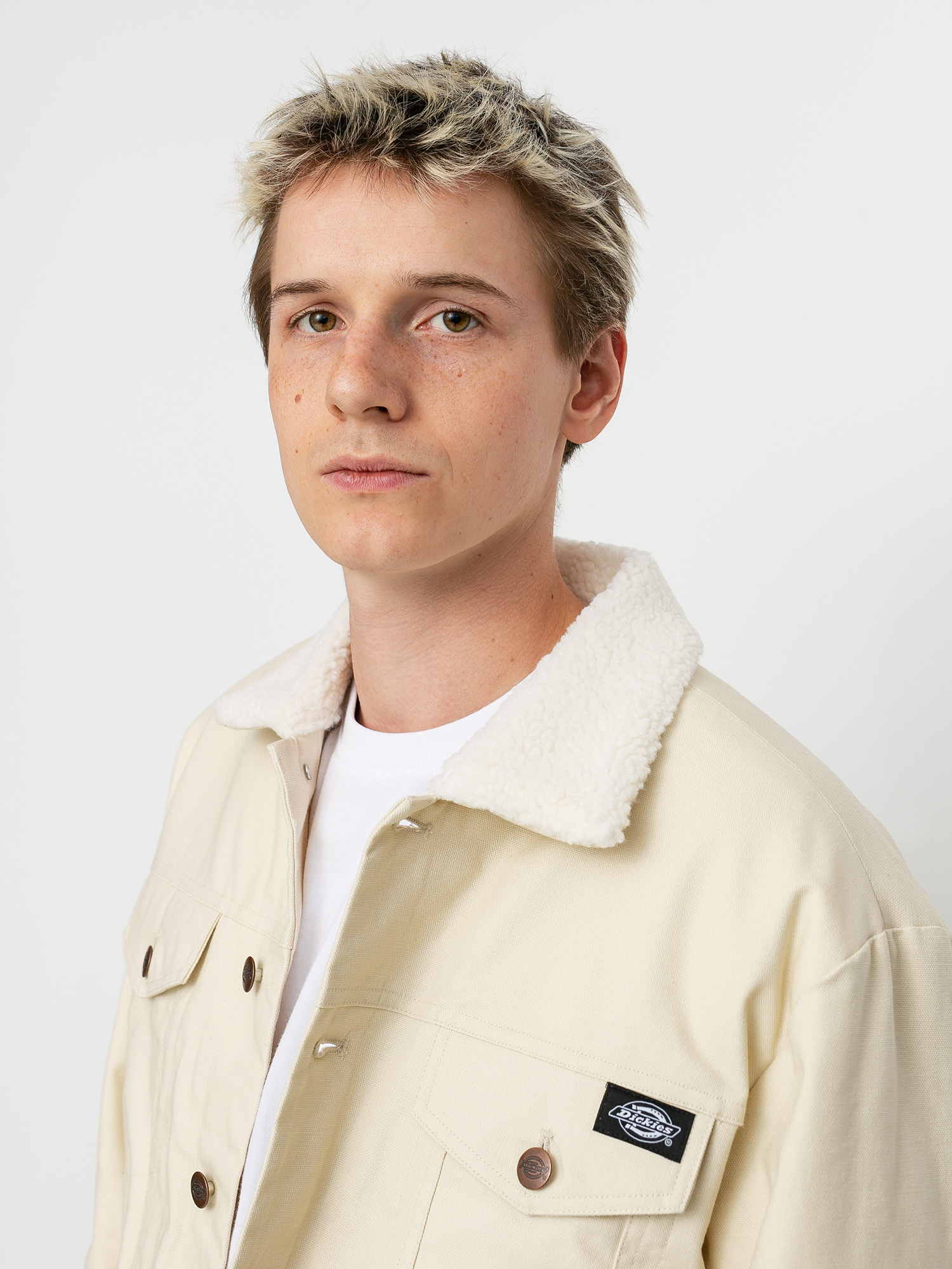 Dickies Marksville Jacket (light taupe)