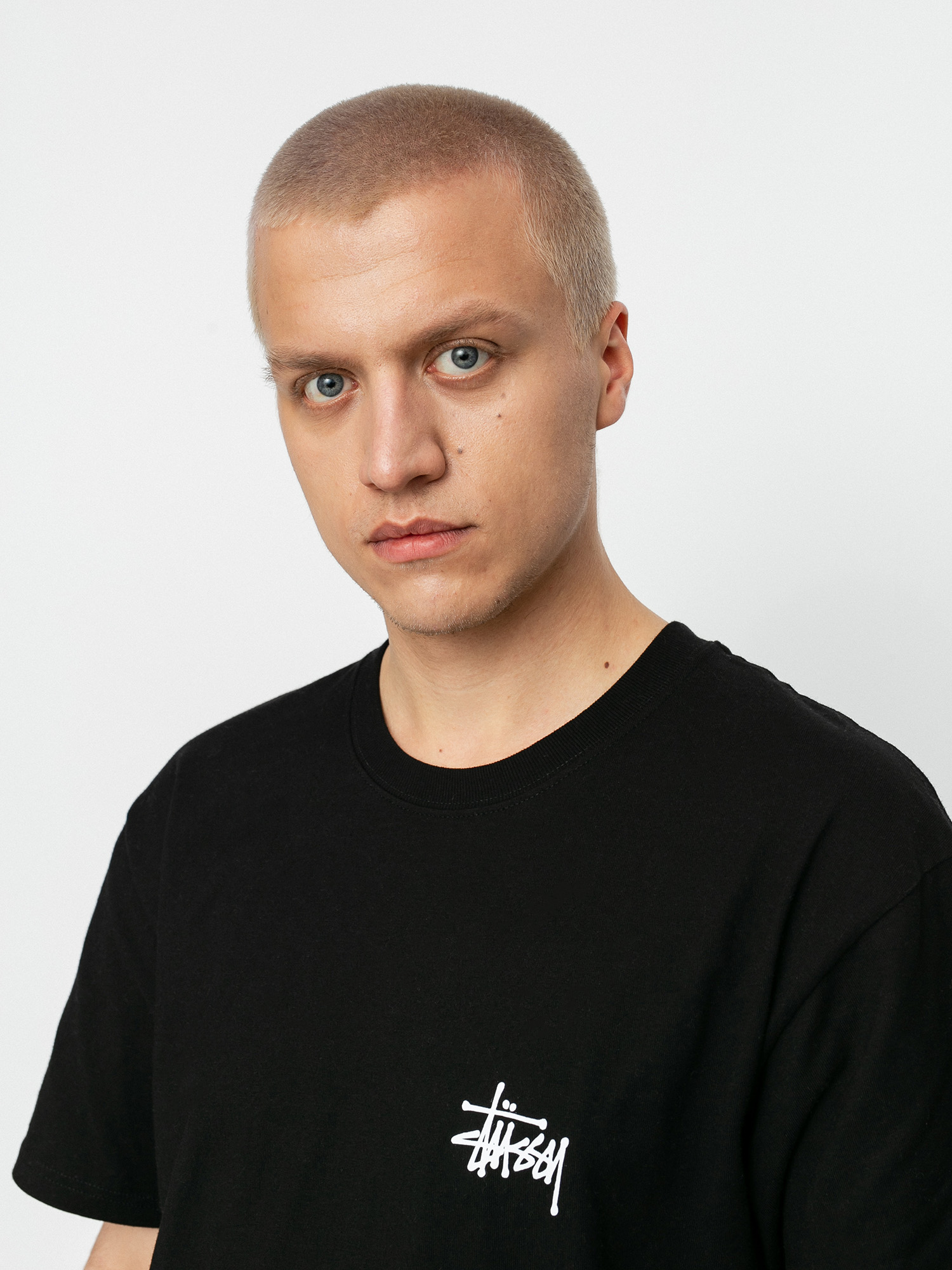 Stussy Basic T-Shirt (black)