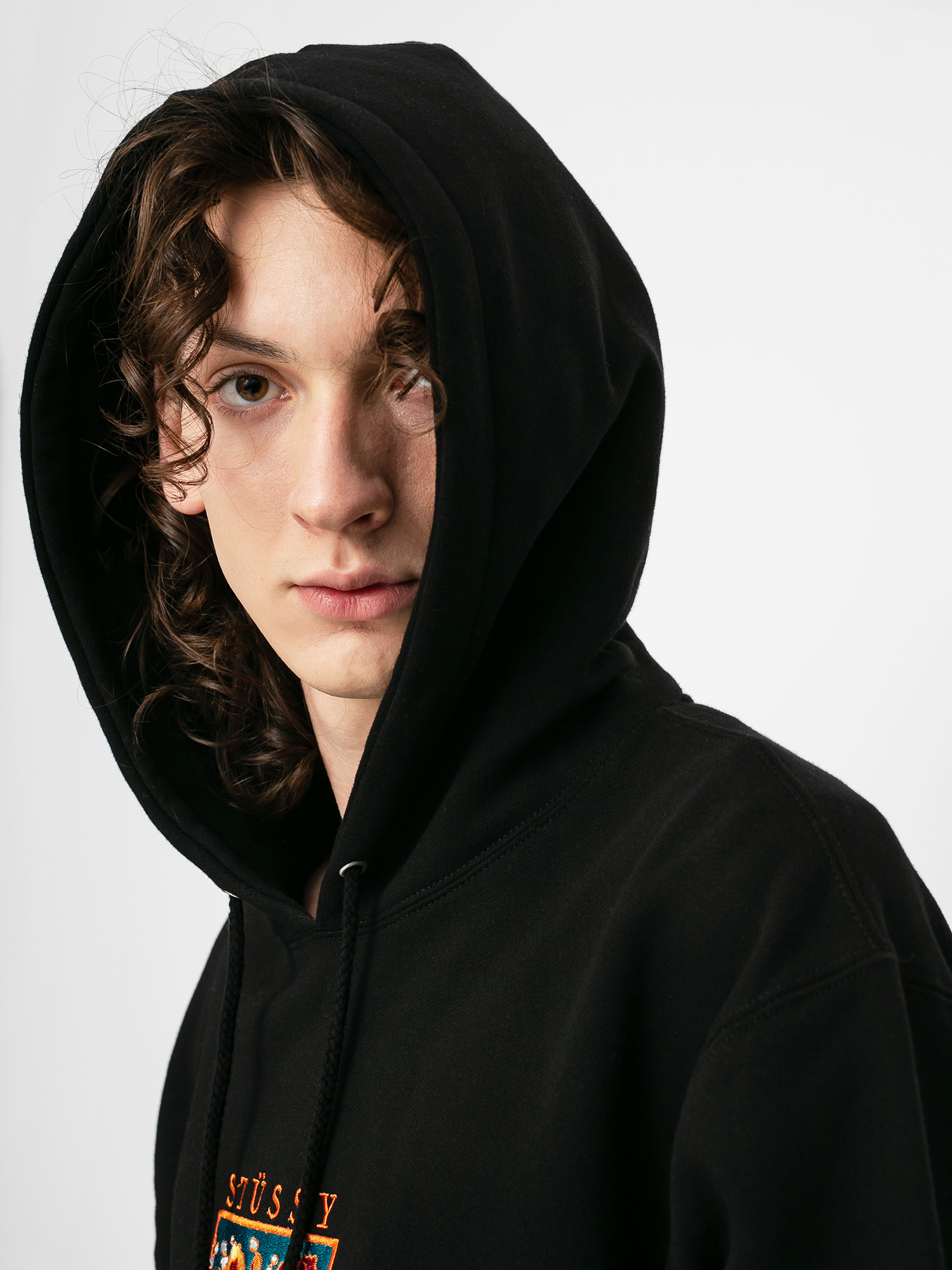 Stussy Irises App HD Hoodie (black)