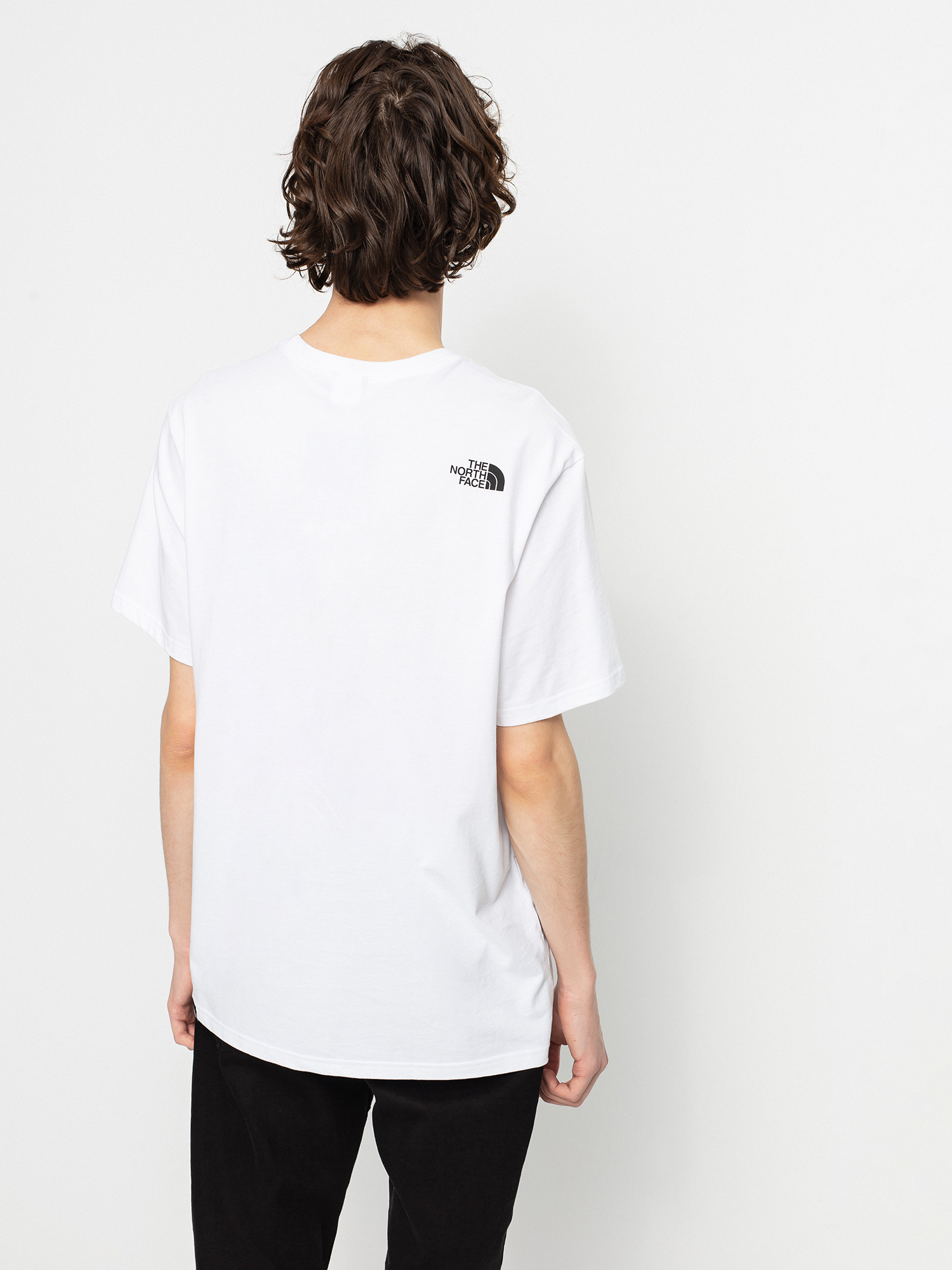 The North Face Fine Alpine Equipment T-shirt (tnf white/tnf black)