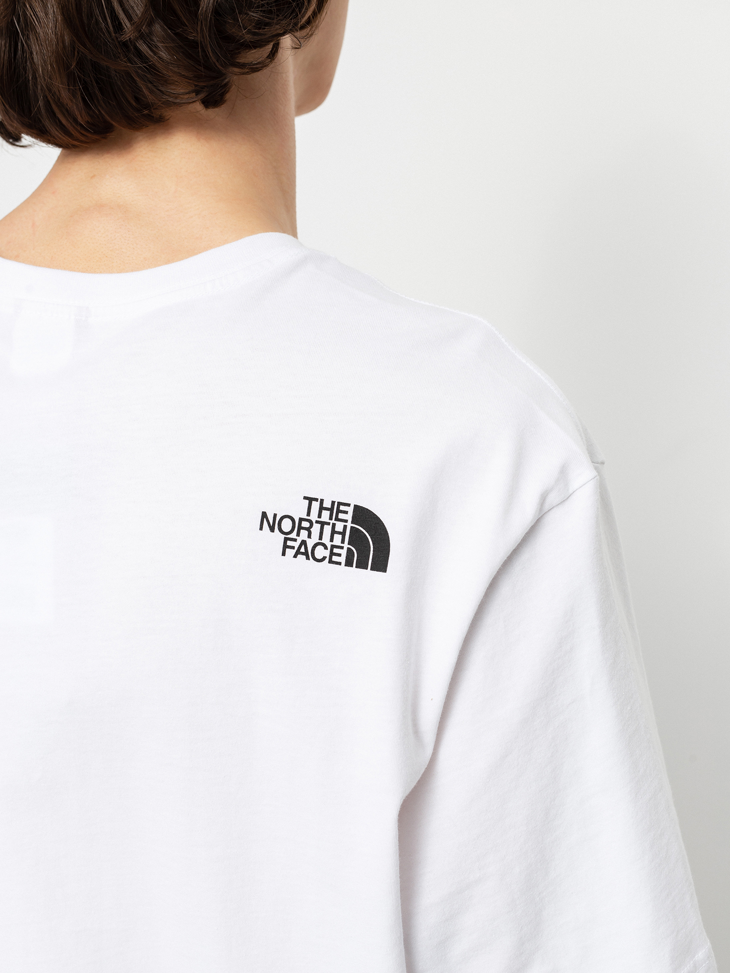 The North Face Fine Alpine Equipment T-shirt (tnf white/tnf black)