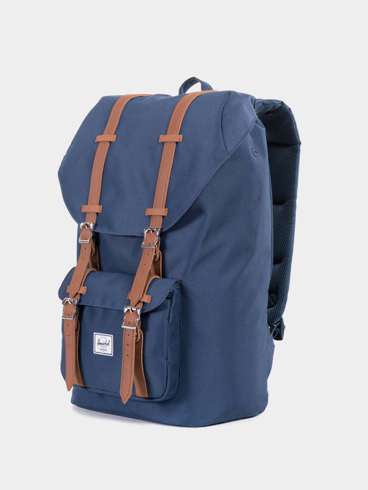 north face backpack rodey