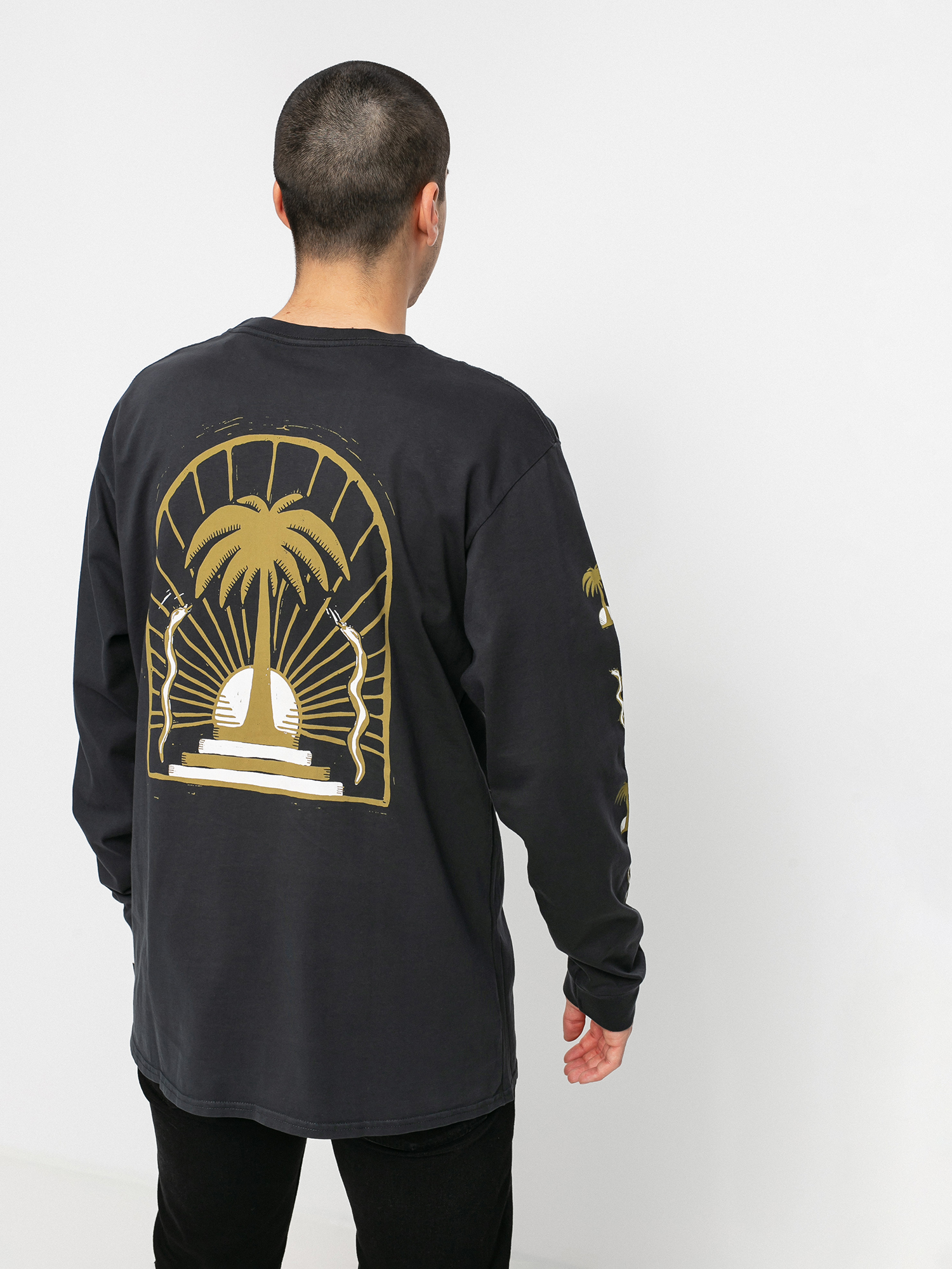 Quiksilver Desert Snake Longsleeve (black)