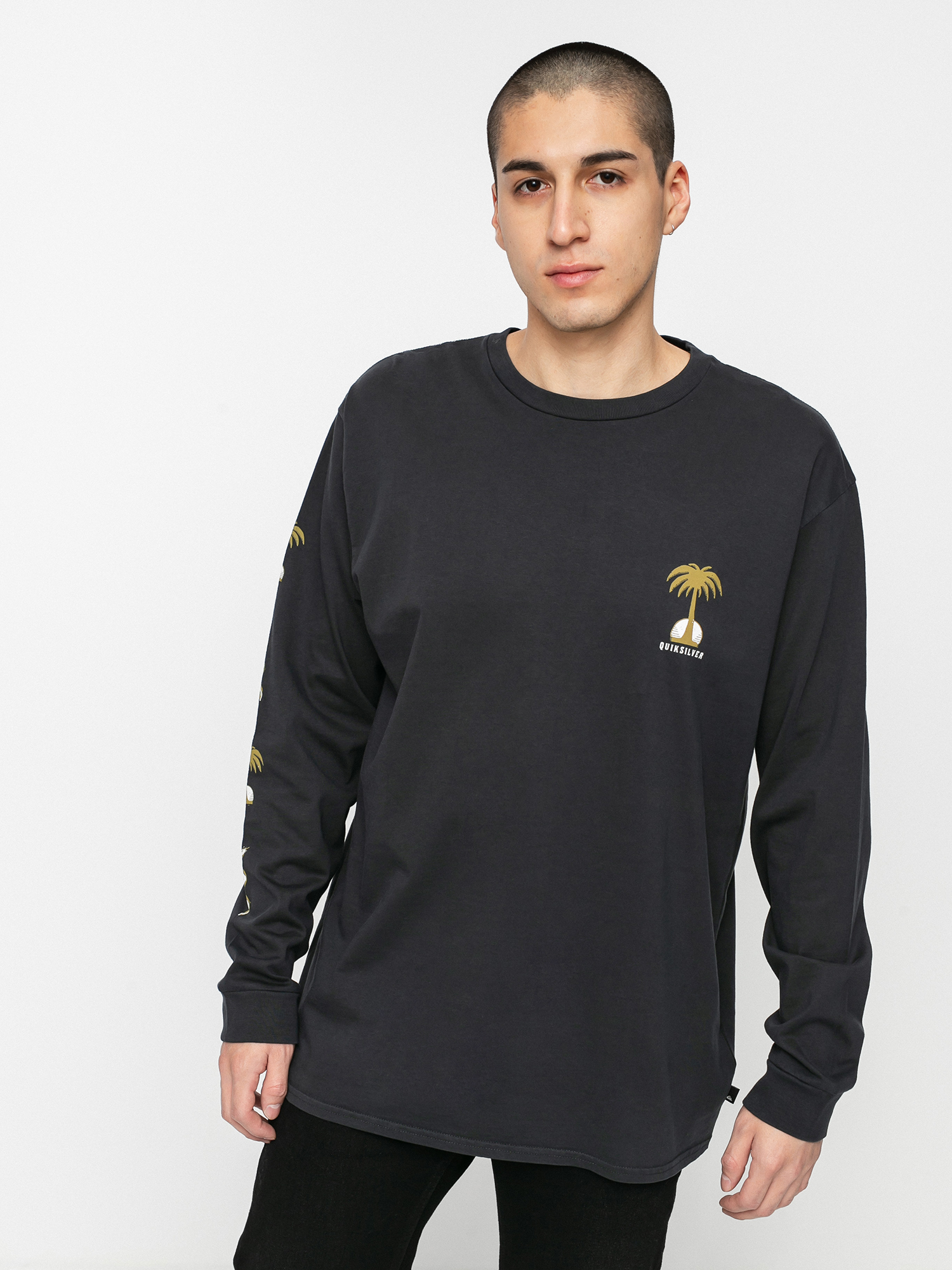 Quiksilver Desert Snake Longsleeve (black)