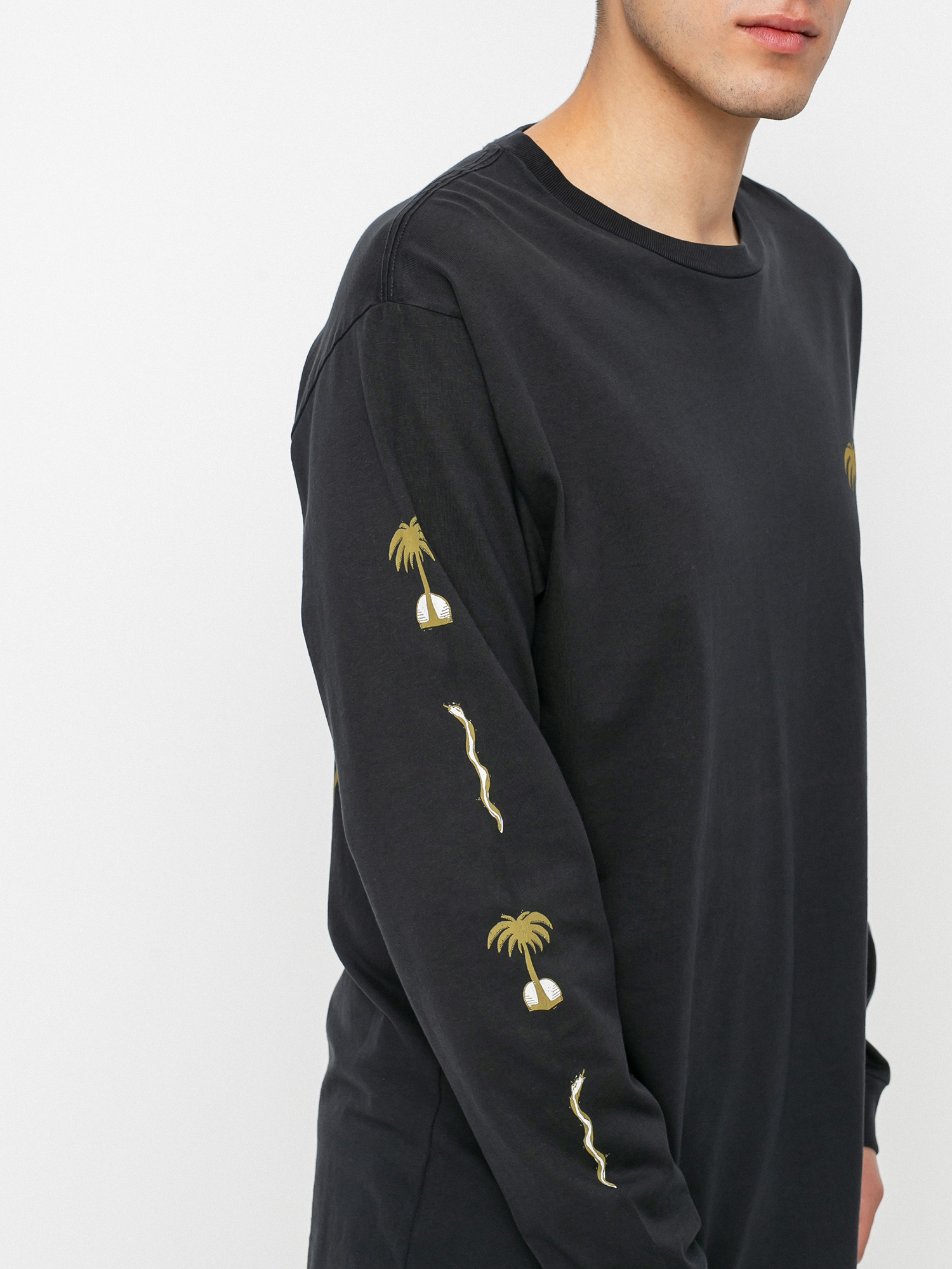 Quiksilver Desert Snake Longsleeve (black)