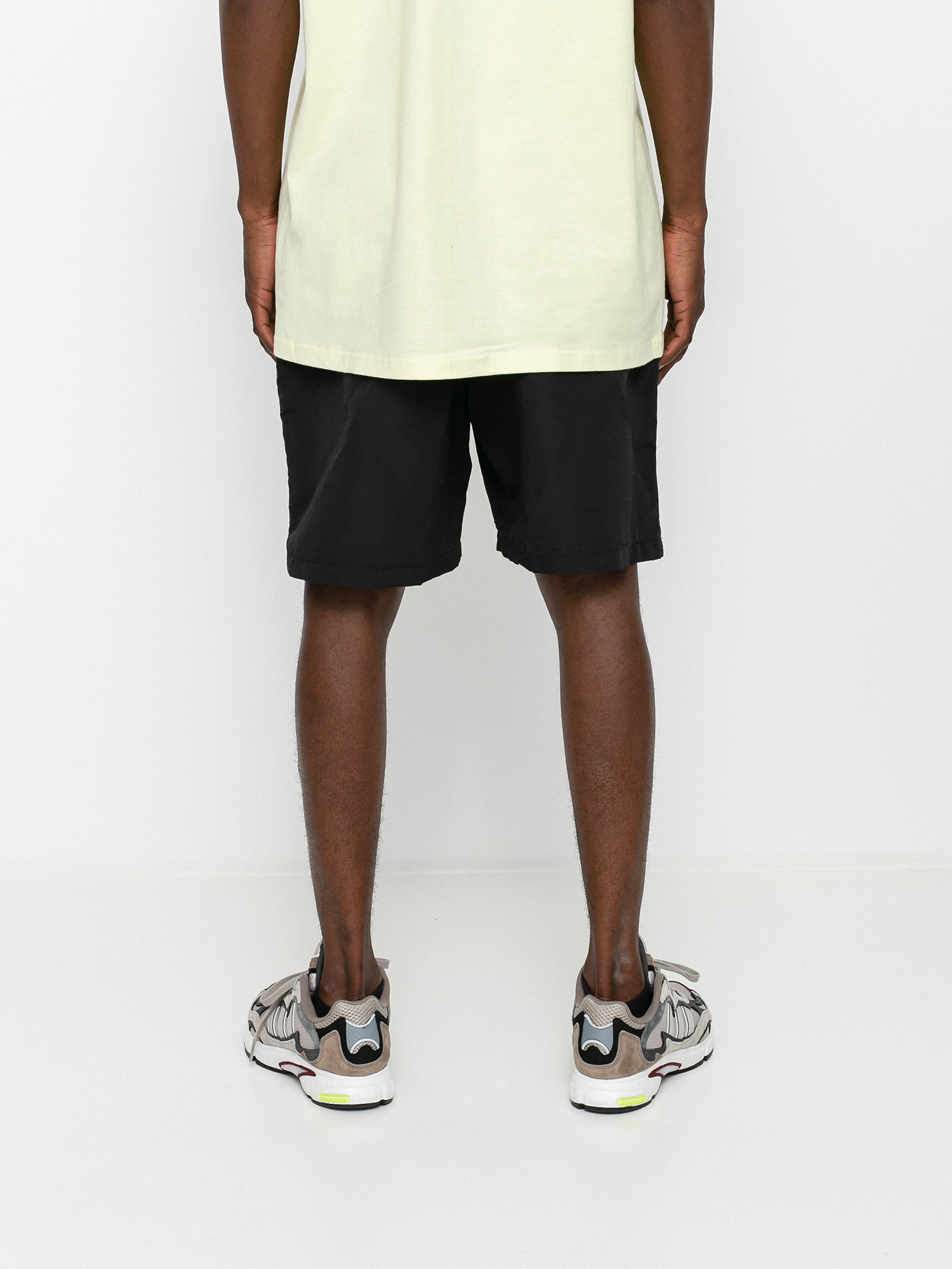 Stussy Stock Water Shorts (black)