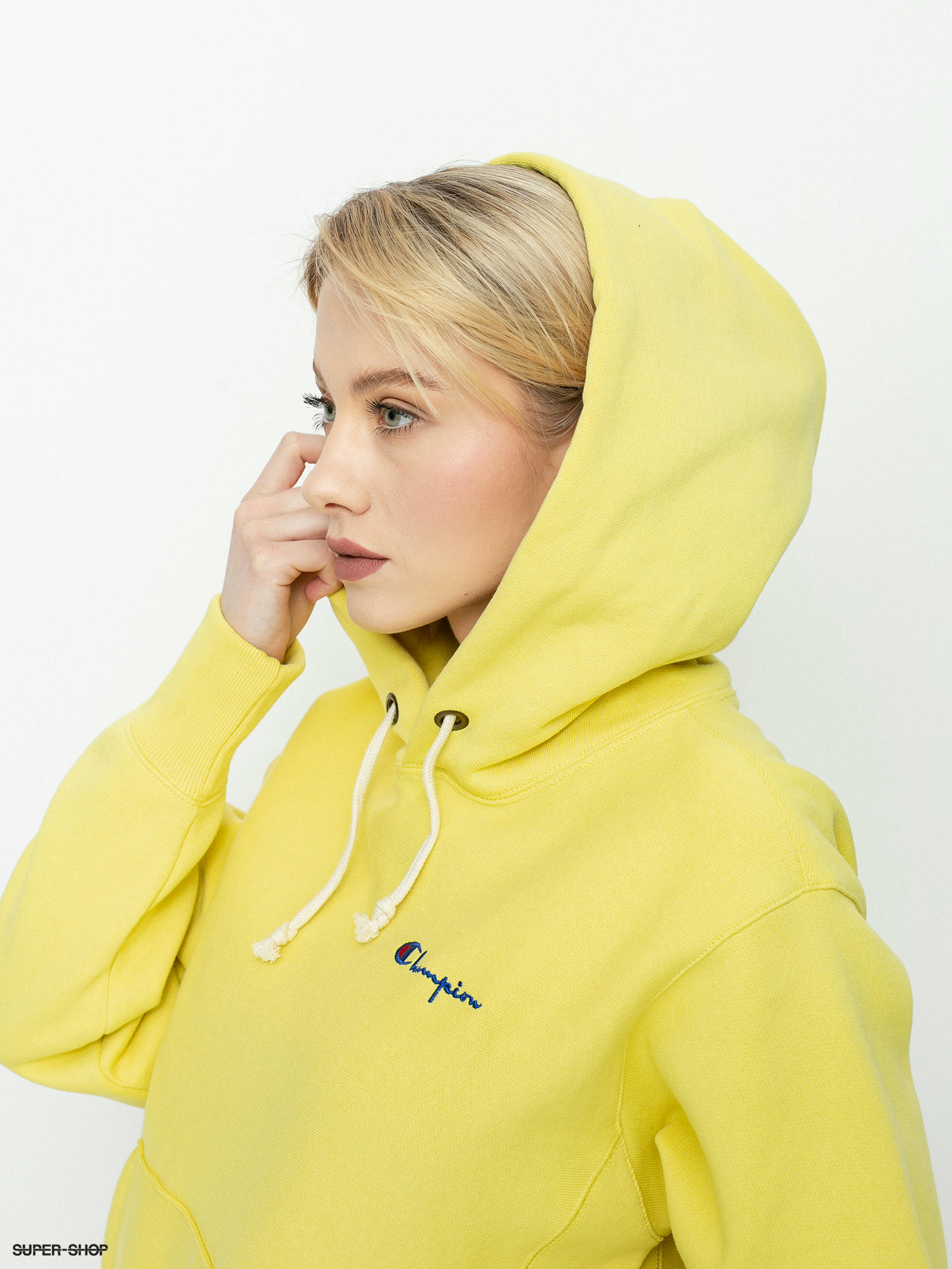 Hooded hot sale champion sweatshirt