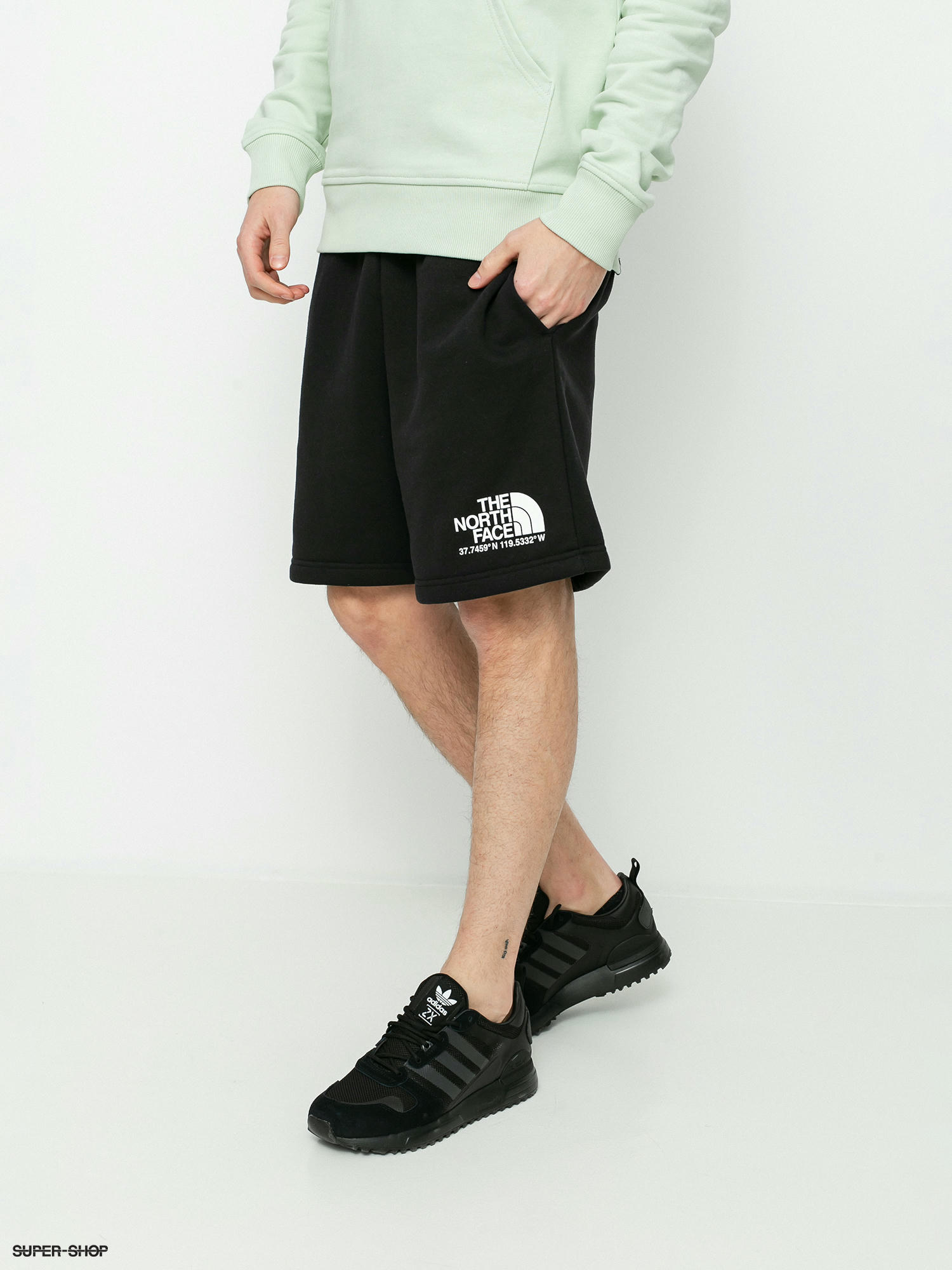 north face coordinates shorts