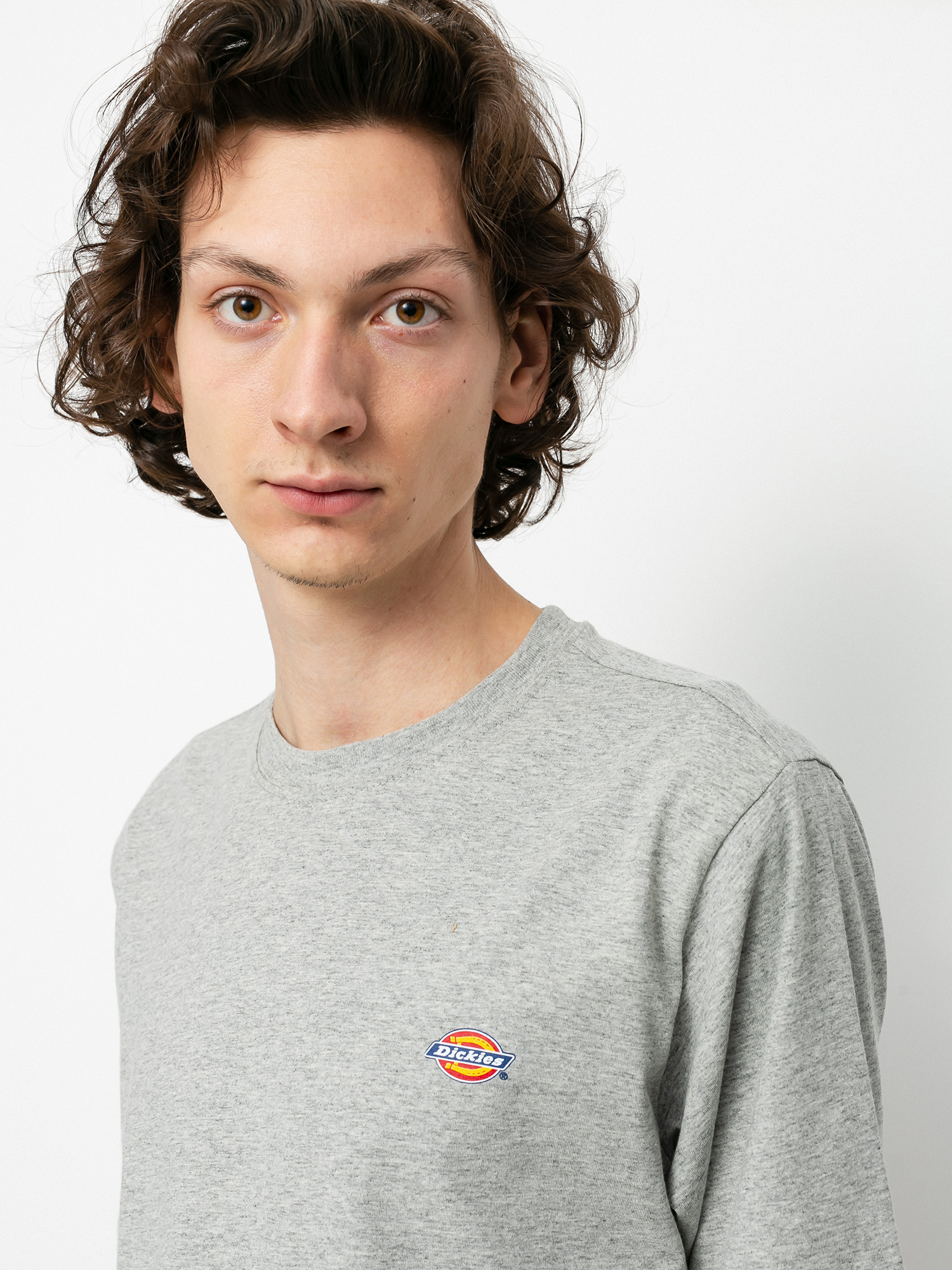 Dickies Mapleton T-Shirt (grey melange)