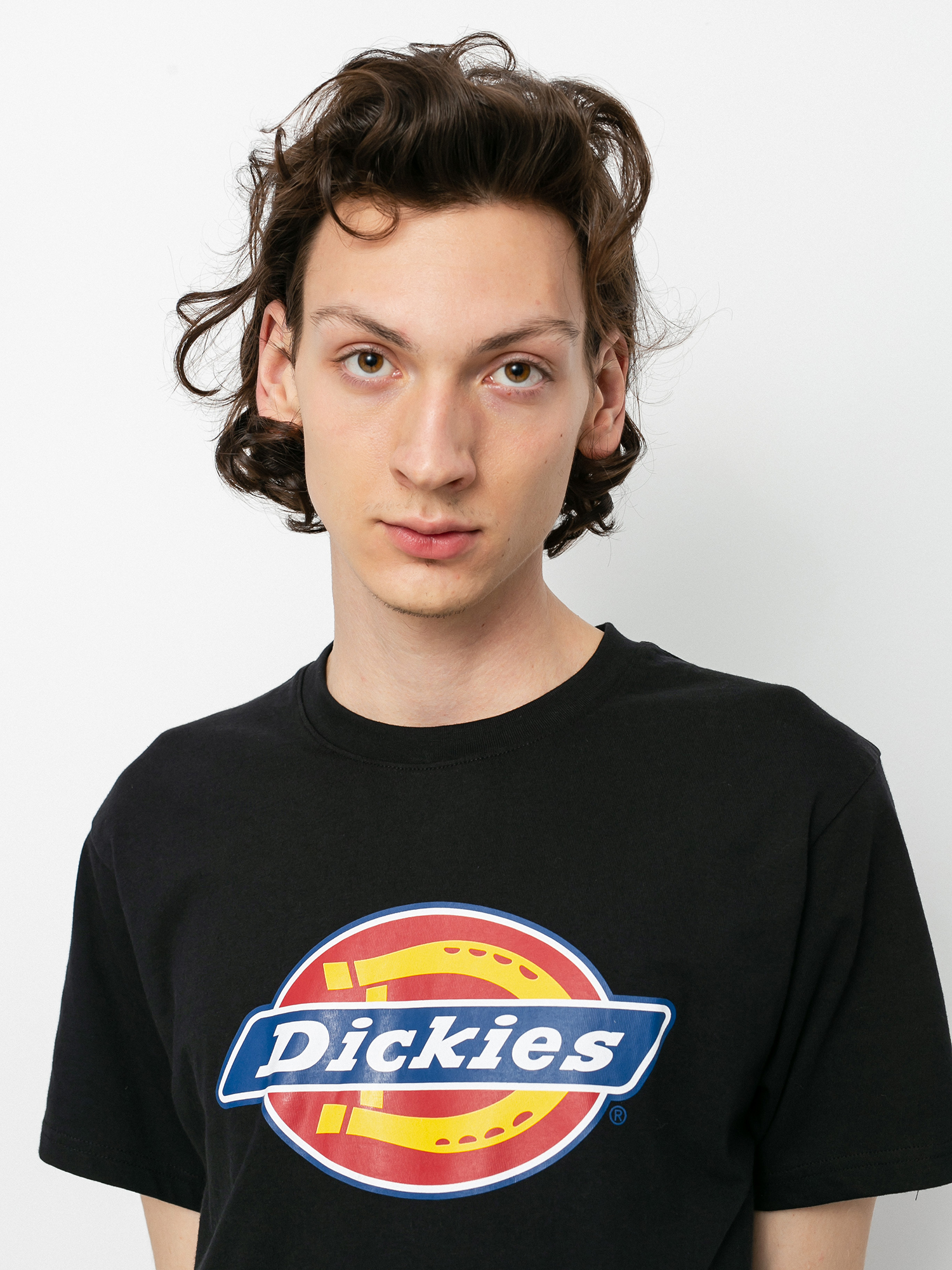Dickies Icon Logo T-shirt (black)