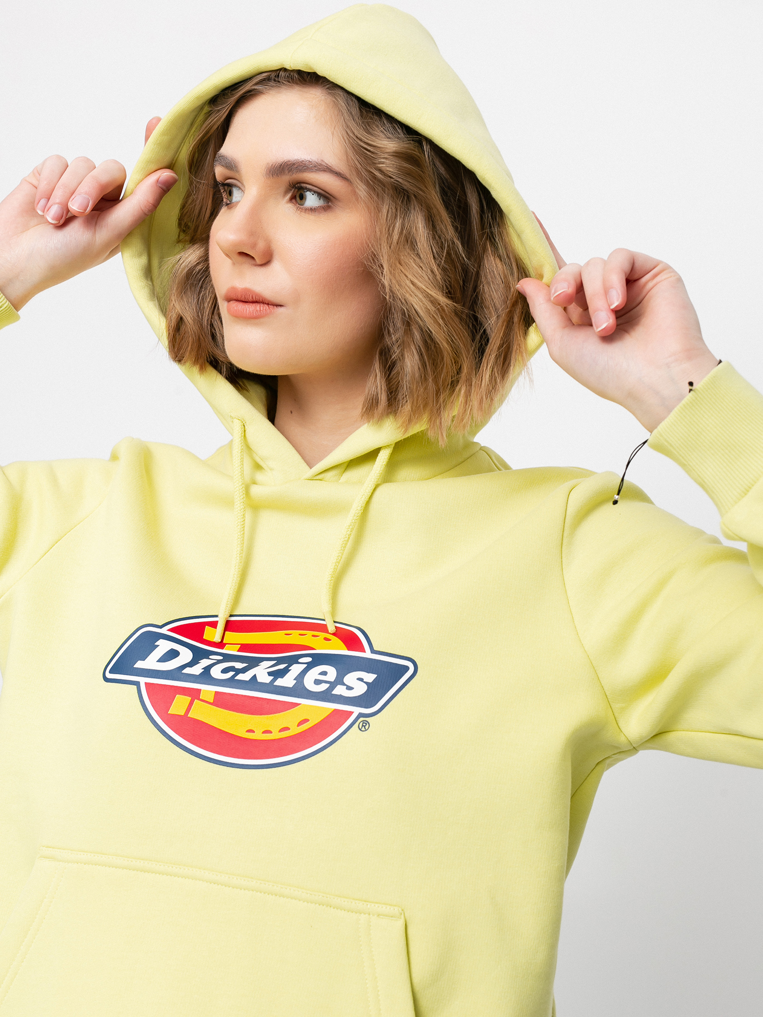 Dickies Icon Logo HD Hoodie Wmn (mellow green)