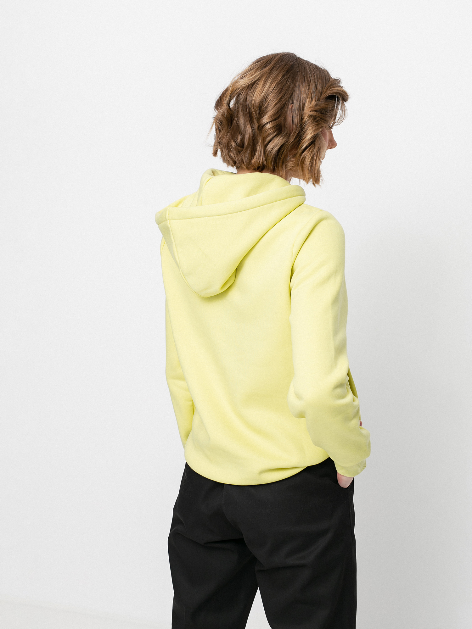 Dickies Icon Logo HD Hoodie Wmn (mellow green)