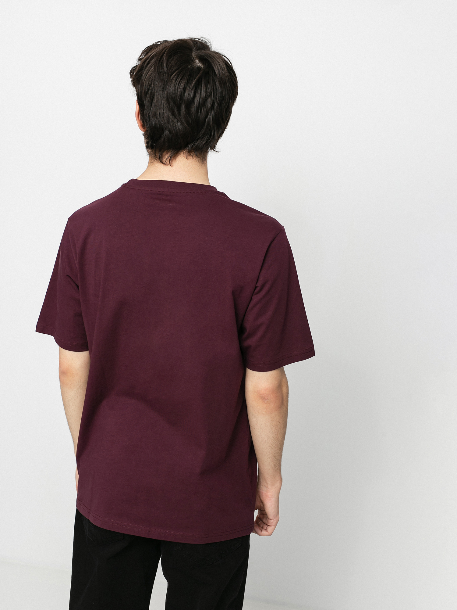 Dickies Mapleton T-shirt (maroon)