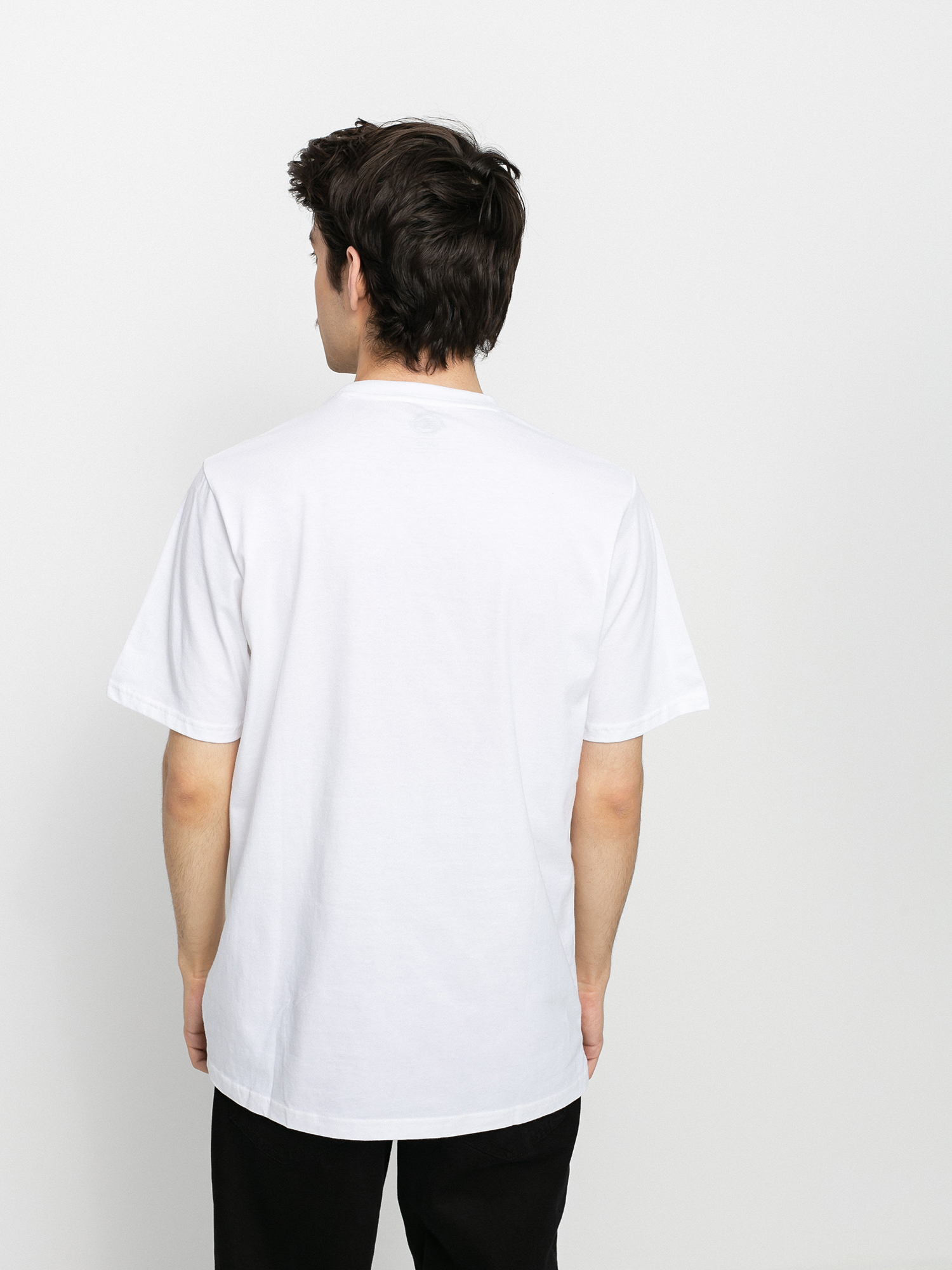 Dickies Icon Logo T-shirt (white)