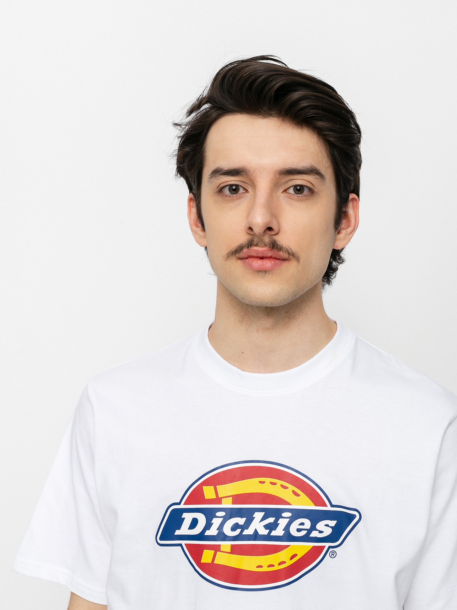 Dickies Icon Logo T-shirt (white)