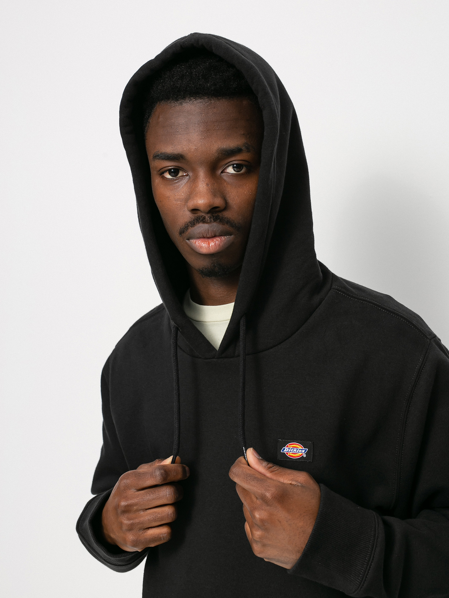 Dickies Oakport HD Hoodie (black)