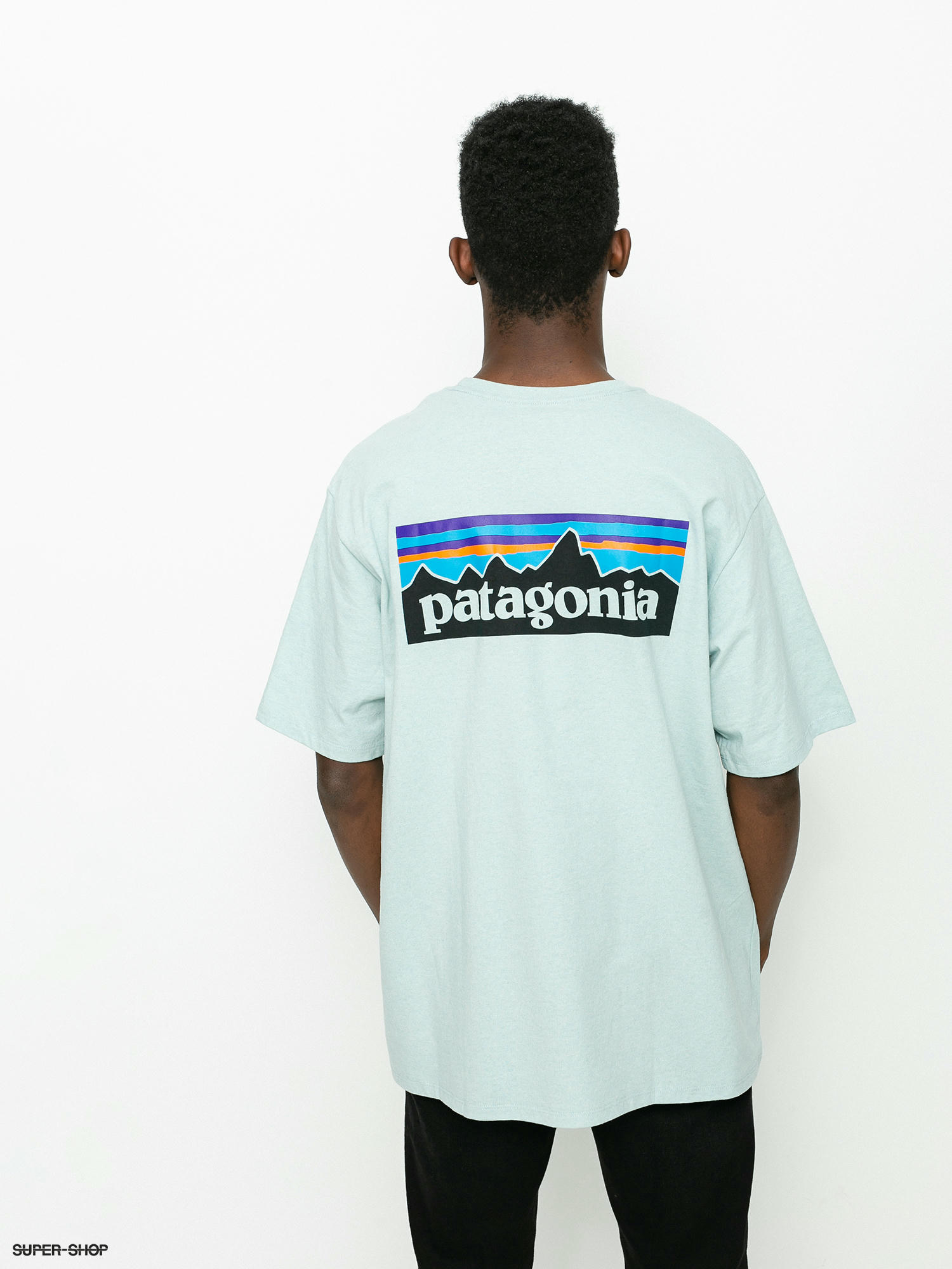 Patagonia t cheap shirt p6