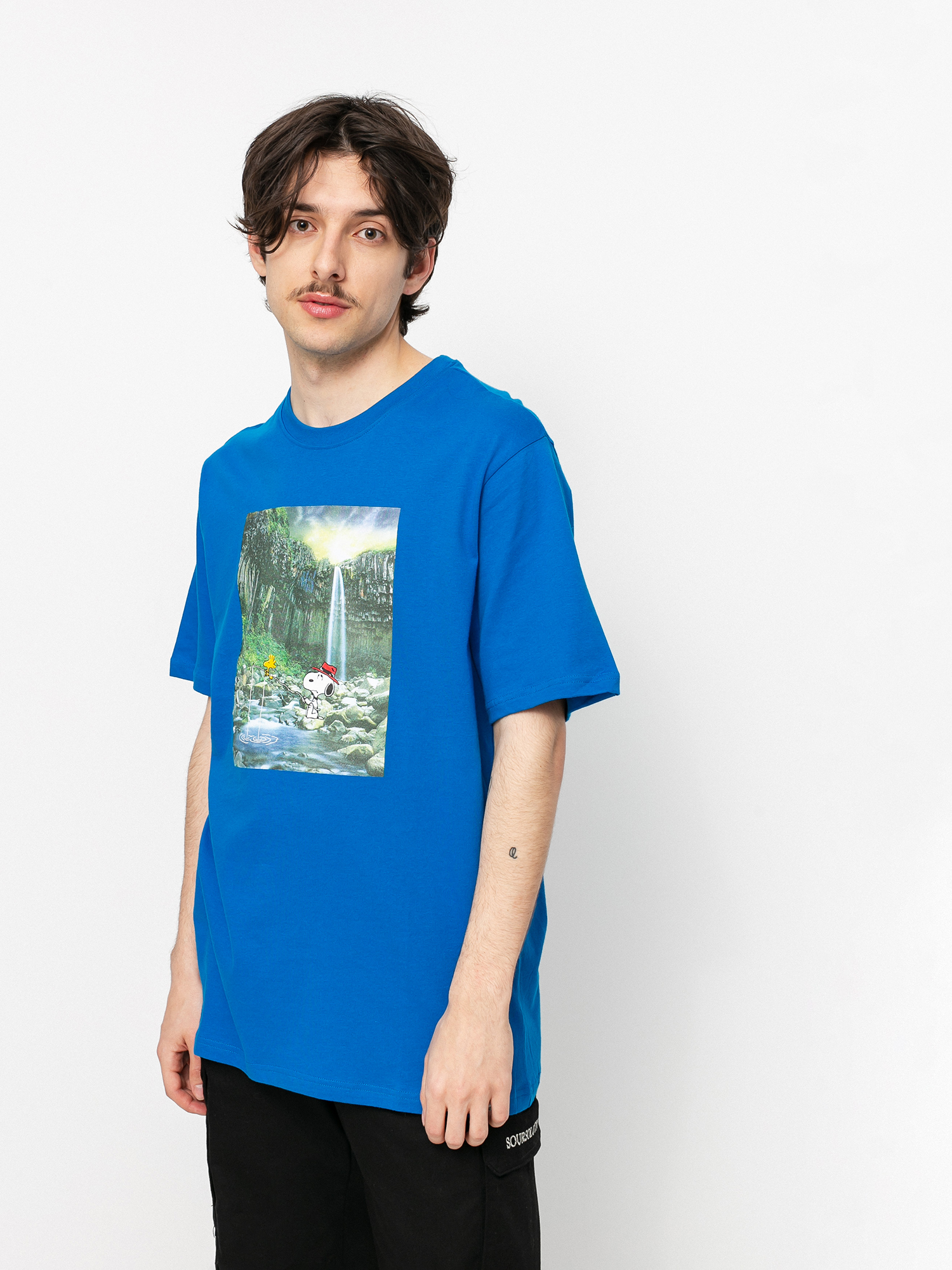 element peanuts t shirt