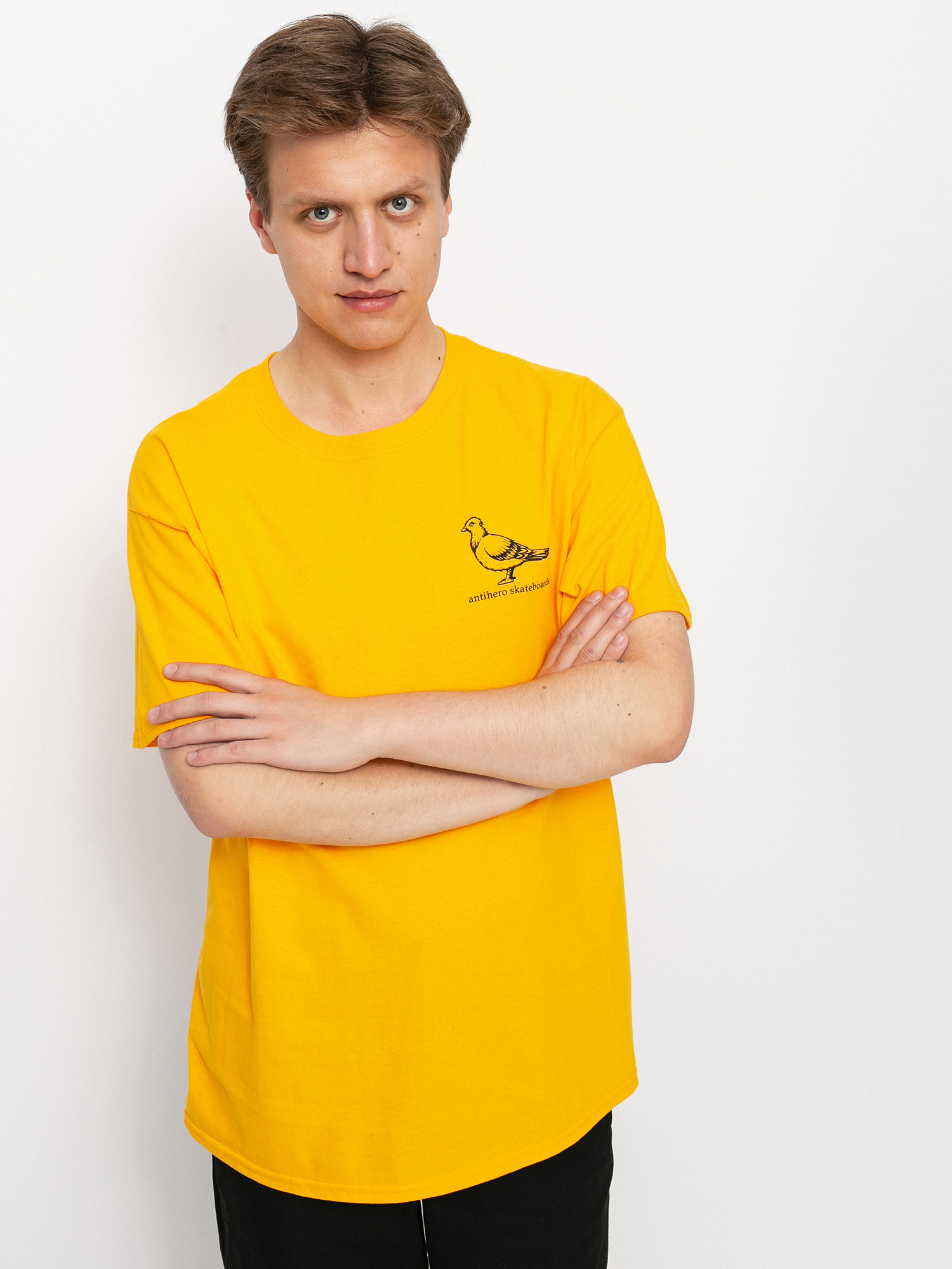Antihero Basic Pigeon T-shirt (gold/black)