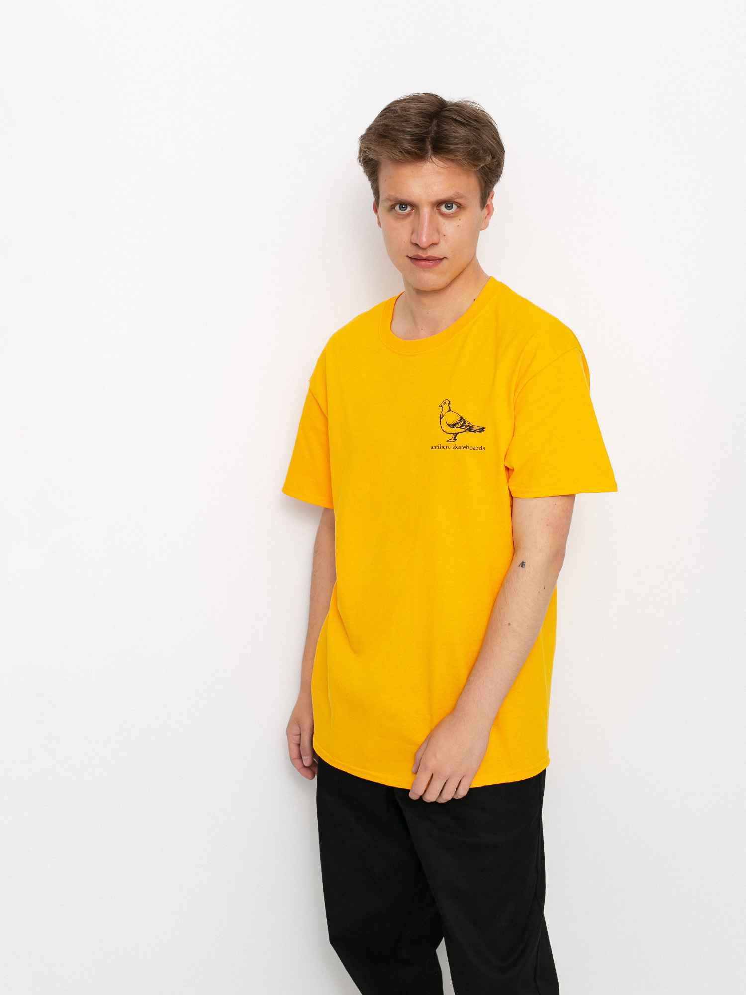 Antihero Basic Pigeon T-shirt (gold/black)